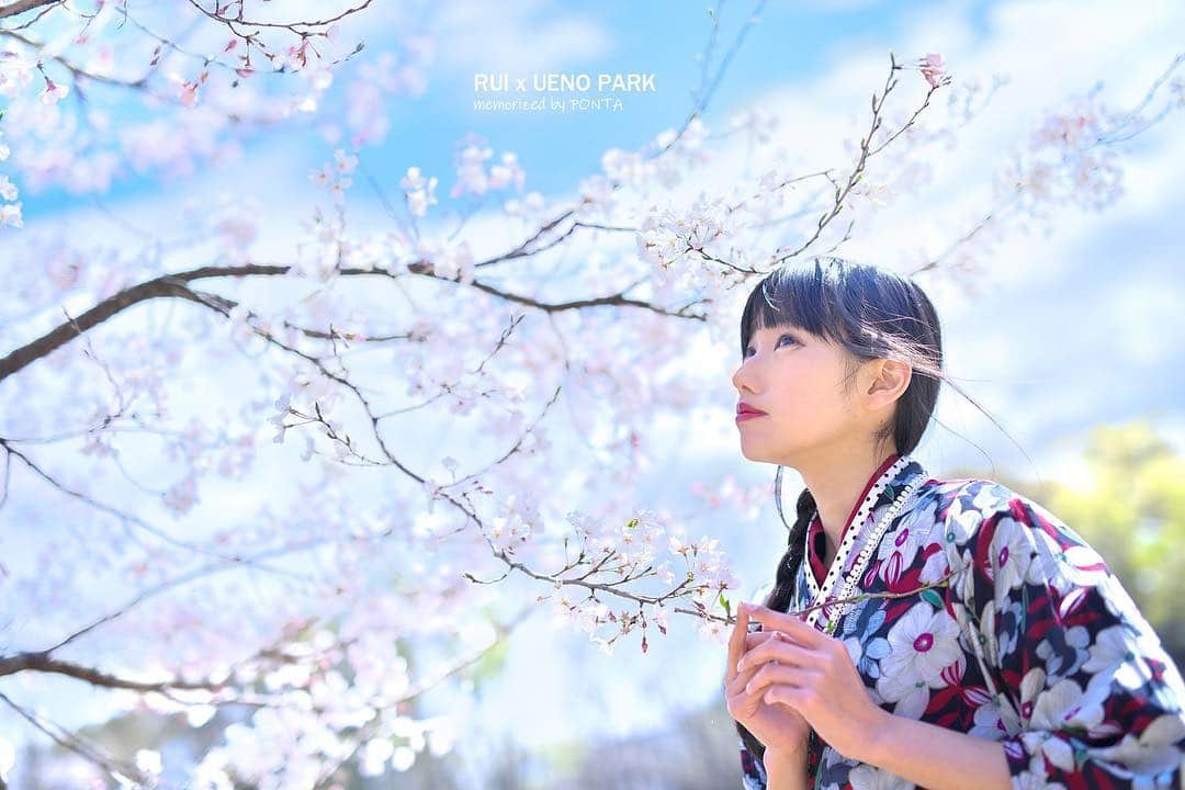 秋元るいさんのインスタグラム写真 - (秋元るいInstagram)「ビスコッティきた＊ まったり夕飯食べてきます♪ 、 #マシュマロ撮影会 #上野公園 #portrait #portraitphotography #good_portraits_world #lovers_nippon_portrait #portraits #jp_portrait部 #三つ編み #photography #写真好きな人と繋がりたい #ファインダー越しの私の世界 #instagood #fashion #photographer #photooftheday #東京カメラ部 #tokyocameraclub  #ポートレートしま専科 #japanesegirl #followme #ig_japan  #kawaiigirl #インスタグラマー #春コーデ #春ワンピース #whitecode #sakura #sakura🌸 #今日のコーデ」4月4日 19時29分 - akimoto_rui