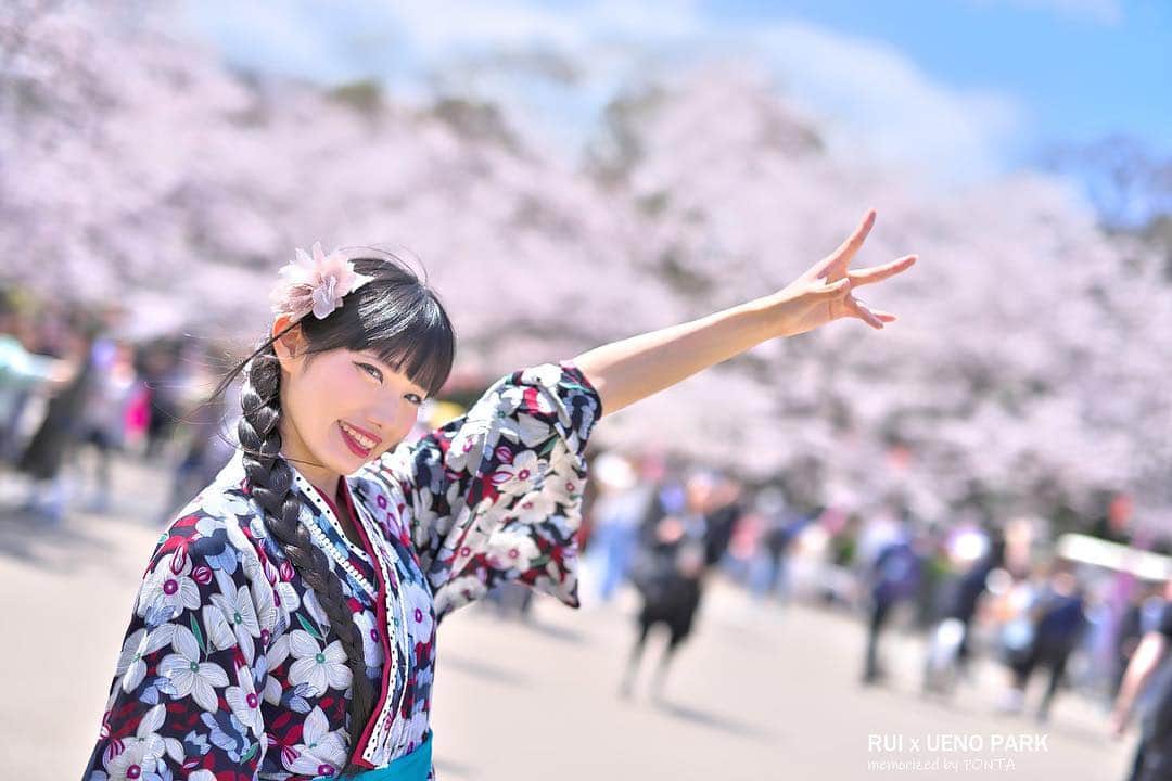 秋元るいさんのインスタグラム写真 - (秋元るいInstagram)「ビスコッティきた＊ まったり夕飯食べてきます♪ 、 #マシュマロ撮影会 #上野公園 #portrait #portraitphotography #good_portraits_world #lovers_nippon_portrait #portraits #jp_portrait部 #三つ編み #photography #写真好きな人と繋がりたい #ファインダー越しの私の世界 #instagood #fashion #photographer #photooftheday #東京カメラ部 #tokyocameraclub  #ポートレートしま専科 #japanesegirl #followme #ig_japan  #kawaiigirl #インスタグラマー #春コーデ #春ワンピース #whitecode #sakura #sakura🌸 #今日のコーデ」4月4日 19時29分 - akimoto_rui