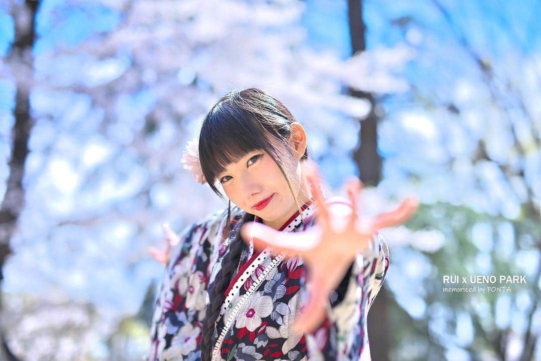 秋元るいさんのインスタグラム写真 - (秋元るいInstagram)「ビスコッティきた＊ まったり夕飯食べてきます♪ 、 #マシュマロ撮影会 #上野公園 #portrait #portraitphotography #good_portraits_world #lovers_nippon_portrait #portraits #jp_portrait部 #三つ編み #photography #写真好きな人と繋がりたい #ファインダー越しの私の世界 #instagood #fashion #photographer #photooftheday #東京カメラ部 #tokyocameraclub  #ポートレートしま専科 #japanesegirl #followme #ig_japan  #kawaiigirl #インスタグラマー #春コーデ #春ワンピース #whitecode #sakura #sakura🌸 #今日のコーデ」4月4日 19時29分 - akimoto_rui