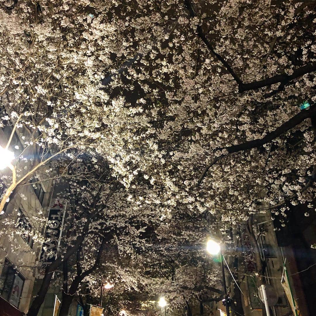 青木良文さんのインスタグラム写真 - (青木良文Instagram)「明日の金曜日は牡羊座の新月に。 平成最後の新月ですから、新しい時代へ向けて、何を願うか考えてみるのもいいですね。  そしてこの上半期は“浄化”がテーマだそう。 ここ数日の寒の戻りで、今週末もまだ愛でられそうな桜。 桜の下に立つとデトックス効果があるそうなのです。 心配事や、心に引っ掛かりがあるなど、ネガティブな感情があったら、桜の木の下に立ってリセットを。  特に水の気を持つ時間となる夜は、嫌なものをどんどん流してくれるそう。 明日の新月ナイトは、夜空に月が顔を出さない分、夜桜を楽しんで、いろいろ流しちゃいましょう。  新しい時代へ、ここで気持ちを切り替えて、自身も楽しくアップデートを！  #牡羊座の新月 #浄化がテーマの2019年上半期もあと半分 #夜桜はデトックス効果バツグン #いろいろ流しちゃいましょう #アップデートを #drawingnumbers」4月4日 19時44分 - aokiyoshifumi