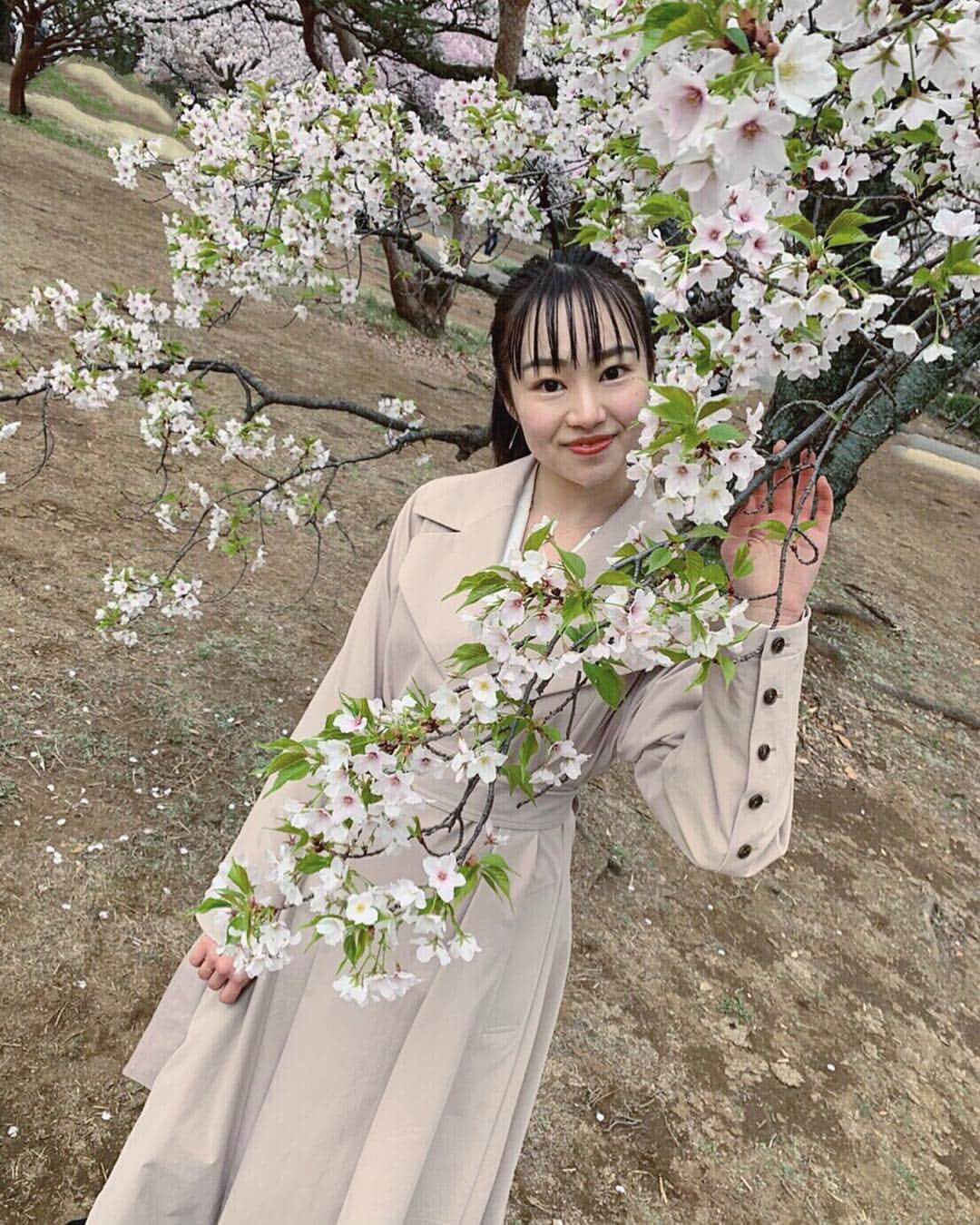 舞雛かのんさんのインスタグラム写真 - (舞雛かのんInstagram)「❀❀ . 白い桜も素敵だったな...❤︎. .  #お花見 #桜 #cherryblossom  #白い桜も好き #新宿御苑 #shinjuku #tokyo」4月4日 19時45分 - mizho_601