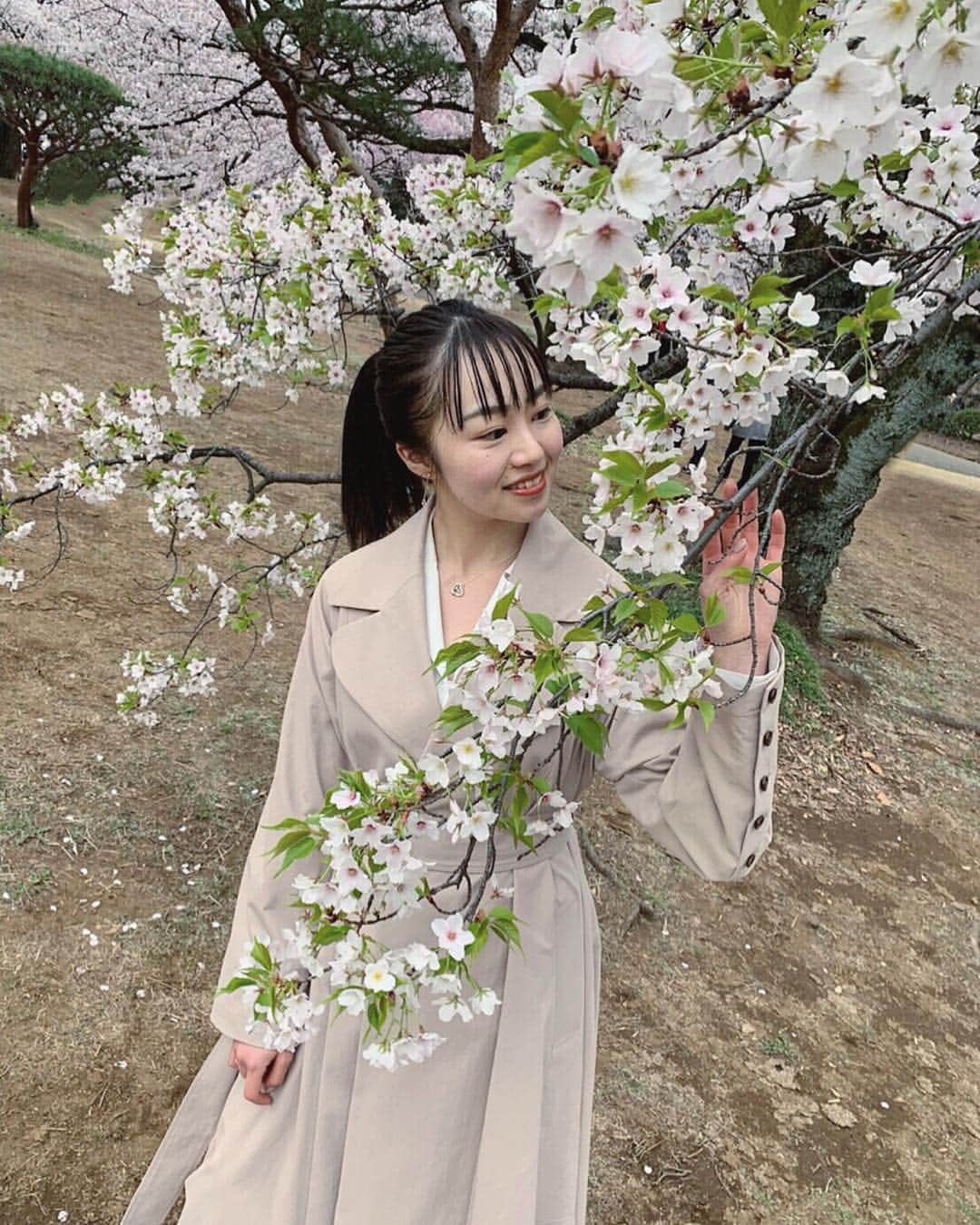 舞雛かのんさんのインスタグラム写真 - (舞雛かのんInstagram)「❀❀ . 白い桜も素敵だったな...❤︎. .  #お花見 #桜 #cherryblossom  #白い桜も好き #新宿御苑 #shinjuku #tokyo」4月4日 19時45分 - mizho_601