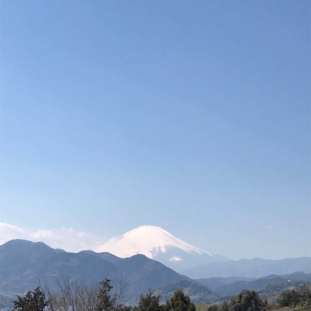 水木一郎さんのインスタグラム写真 - (水木一郎Instagram)「今日は天気が良かったので花見も兼ねて松田山の最明寺史跡公園を散策して来ました。かなり楽しめましたゼーット！ #最明寺史跡公園 #松田山 #桜 #レンギョウ #菜の花 #モクレン #桃源郷 #登山部 #ミレー  #水木一郎」4月4日 19時49分 - ichiromizuki