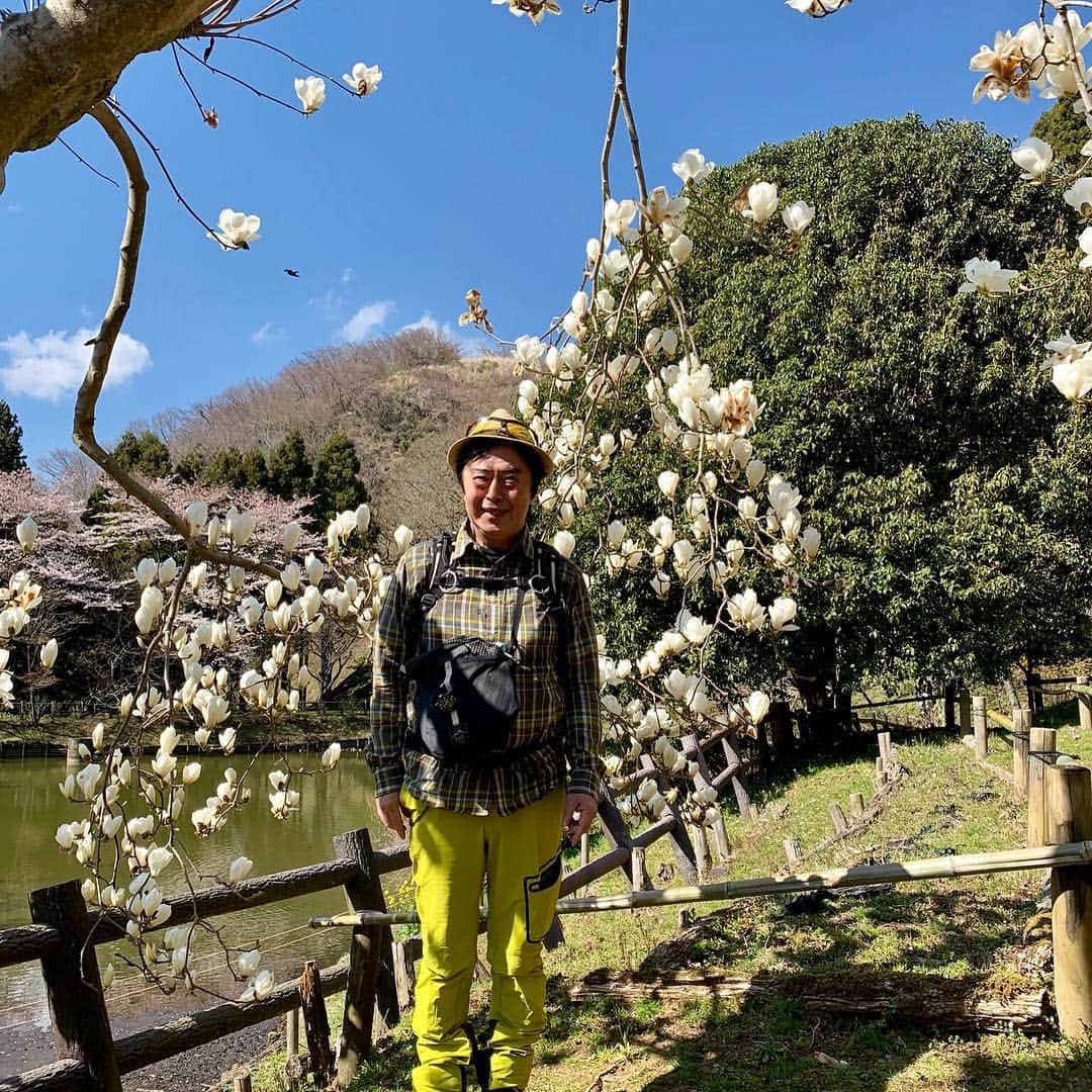 水木一郎さんのインスタグラム写真 - (水木一郎Instagram)「今日は天気が良かったので花見も兼ねて松田山の最明寺史跡公園を散策して来ました。かなり楽しめましたゼーット！ #最明寺史跡公園 #松田山 #桜 #レンギョウ #菜の花 #モクレン #桃源郷 #登山部 #ミレー  #水木一郎」4月4日 19時49分 - ichiromizuki