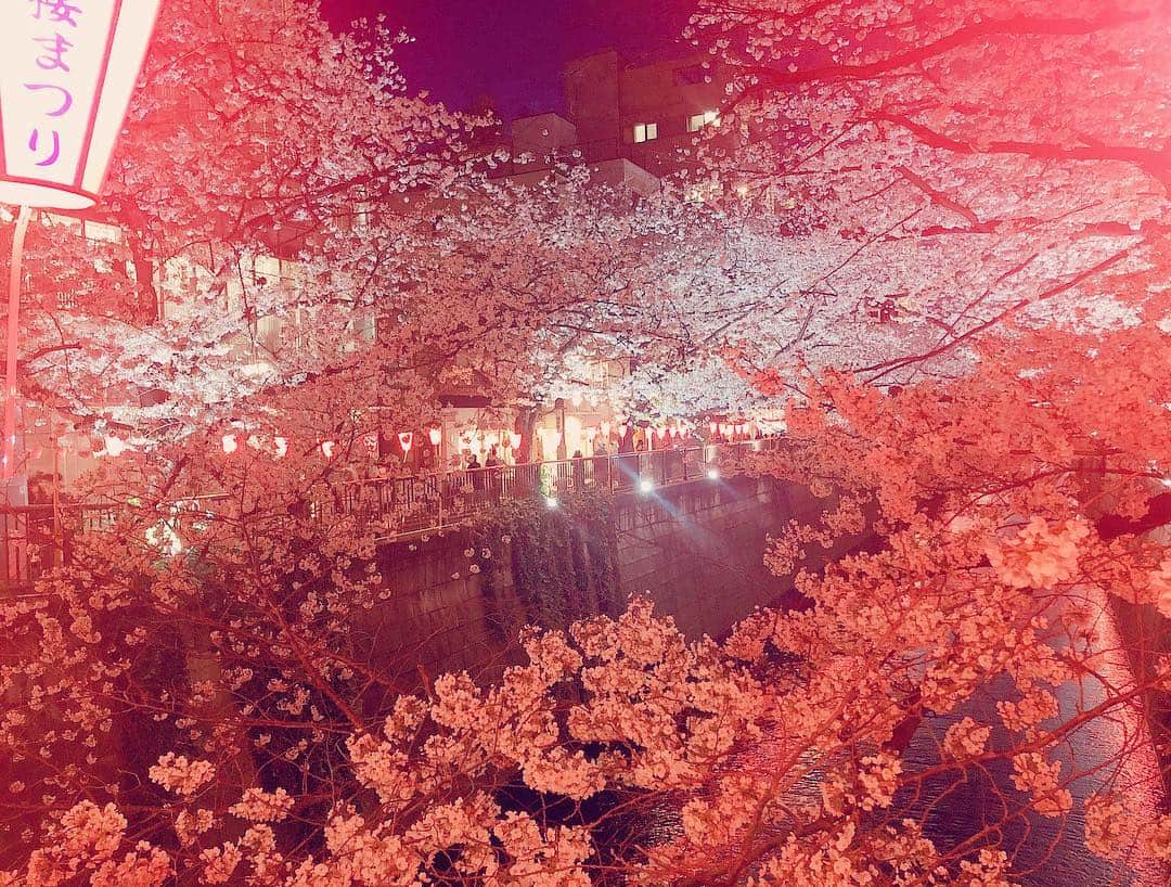 阿部桃子のインスタグラム：「そして外に出たらいつの間にか夜桜🌸 ネイルに行っただけなのにお花見の人混みに巻き込まれて脱出するのにひと苦労🥵 進まないから普段写真撮らないけど撮ってみた！ やっぱキレイよね〜🥺🌸 #桜 #夜桜 #花見 #cherryblossom #hanami #nightcherryblossom #japanesecherryblossom」