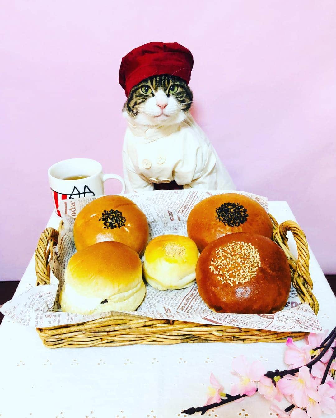 マロさんのインスタグラム写真 - (マロInstagram)「🌸あんぱんの日🌸 April 4 is the day of Sweet red bean bun in Japan. ☆ 今月もよろしくお願いします🙇‍♀️ いつもコメントありがとうございます😸🙏💕 返信出来なくてすみません。 全て拝見しています🐾 ☆ Thank you for your kind comments😸🙏💕 I'm sorry that I couldn't reply. ☆ #cat#cats#catsofinstagram#😻 #food#chef#bread#japanese #japanesefood#japaneseculture  #今日は何の日#あんぱんの日#パン #パン屋#あんぱん#春のパン祭り  #にゃんすたぐらむ#ねこ#猫#ネコ #ねこ部#ふわもこ部#みんねこ #猫との暮らし」4月4日 20時10分 - rinne172