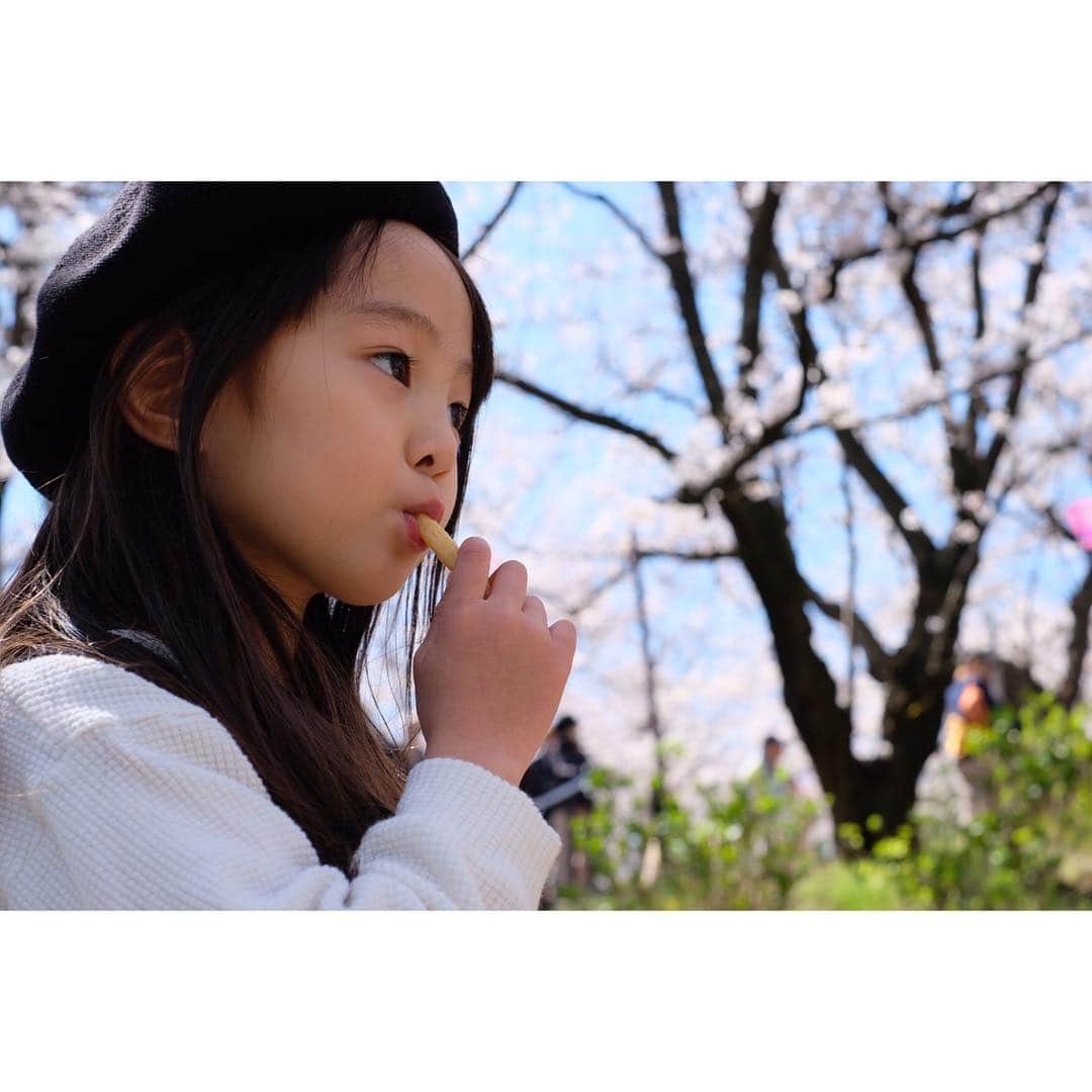 Ai.tさんのインスタグラム写真 - (Ai.tInstagram)「. . 桜は何度も見たくなるなぁ❤️ . 桜吹雪になってるところも好き🙆‍♀️💓🌸 . . 桜ともマッチしてる可愛すぎるワンピースは @tino.land です！🙆‍♀️🌸 . 最近自分で洋服のコーデを決める渚ですが、 だいたい選んでくるのは インスタとかでオーダーした#韓国子供服 だったり輸入の子供服が多いなぁ🤔 フリフリとかチュールとか子どもは好きよね❤️🤣 . このワンピースはクルクル回るとふわっとして可愛かったからか ひたすらずっと回ってました😅 . . 2019.04.04」4月4日 20時21分 - ngs.rky.kuy