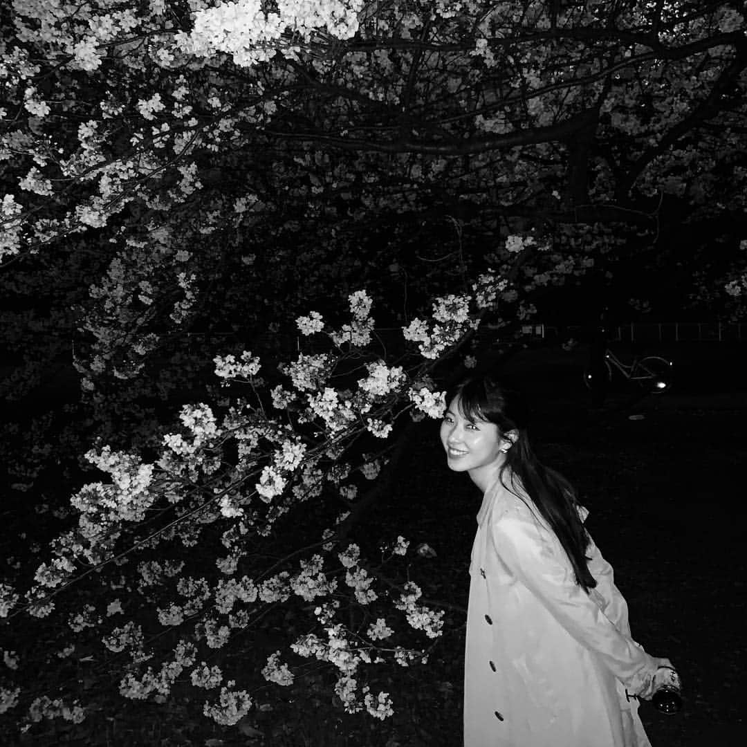 松本ゆいさんのインスタグラム写真 - (松本ゆいInstagram)「夜桜見ながら散歩😌✨ #桜#春#花見#夜桜」4月4日 20時15分 - yui_m106