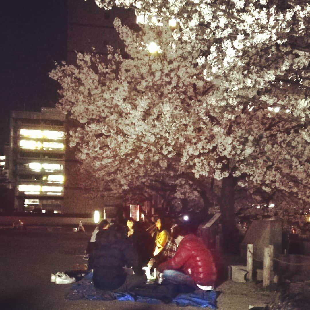 のインスタグラム：「。 夜桜綺麗😍\(*ˊᗜˋ*)/\(*ˊᗜˋ*)/\(*ˊᗜˋ*)/\(*ˊᗜˋ*)/まだまだやってるでぇー (^^)/」