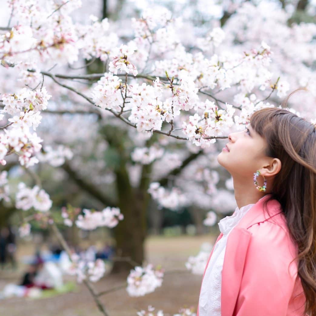 奈良怜那のインスタグラム：「春。新しい季節。  #代々木公園#ポートレート#桜#桜ポートレート#tittyandco#portrait#cherryblossom#인물#벚꽃」