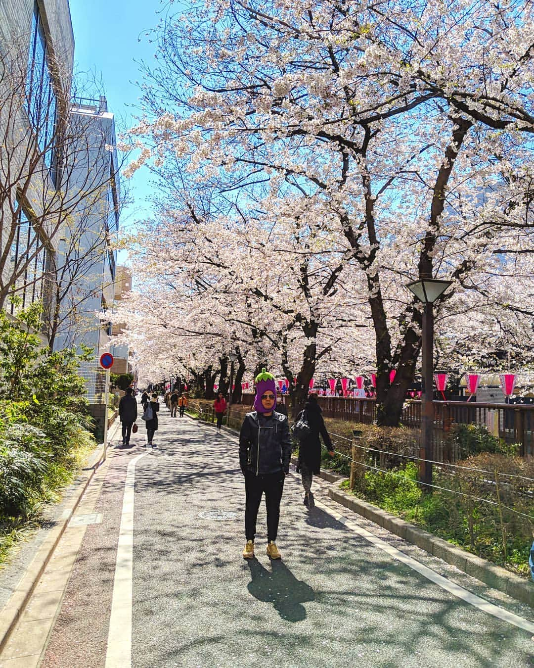 川原克己 さんのインスタグラム写真 - (川原克己 Instagram)「#花見」4月4日 20時28分 - tenjikunezumikawahara