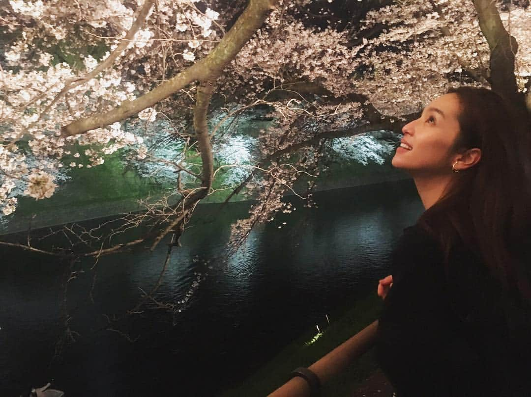 中村アンさんのインスタグラム写真 - (中村アンInstagram)「夜桜🌸🍡🎌🌔」4月4日 20時35分 - cocoannne