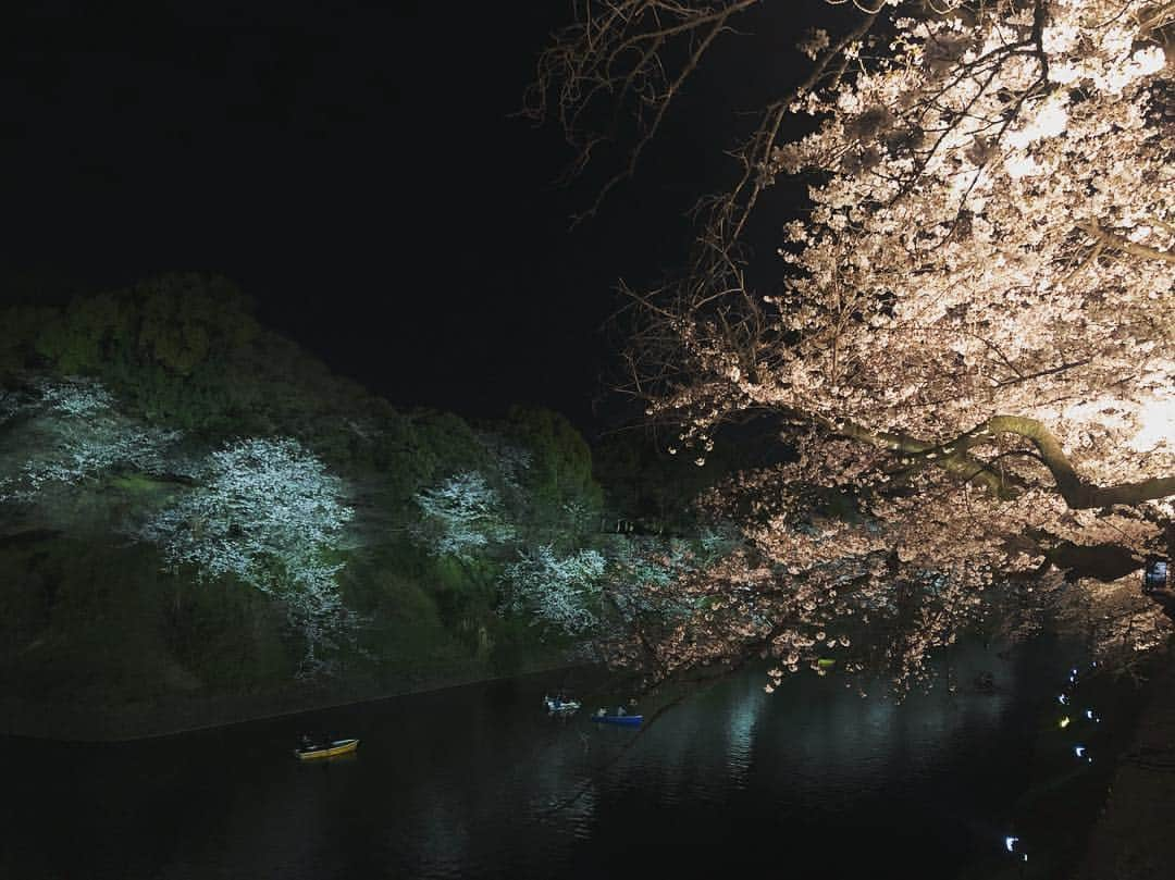 中村アンさんのインスタグラム写真 - (中村アンInstagram)「夜桜🌸🍡🎌🌔」4月4日 20時35分 - cocoannne