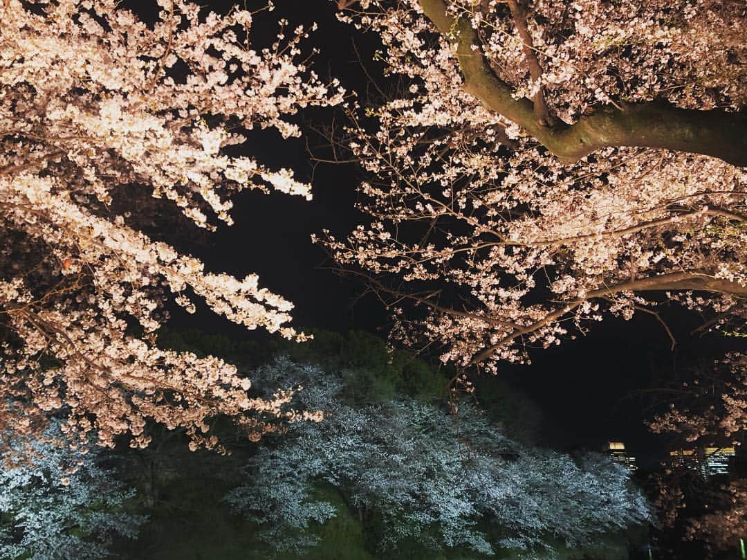 中村アンさんのインスタグラム写真 - (中村アンInstagram)「夜桜🌸🍡🎌🌔」4月4日 20時35分 - cocoannne