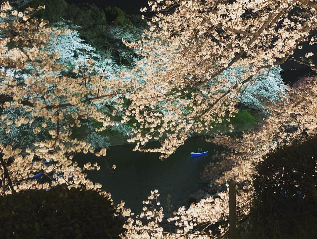 中村アンさんのインスタグラム写真 - (中村アンInstagram)「夜桜🌸🍡🎌🌔」4月4日 20時35分 - cocoannne