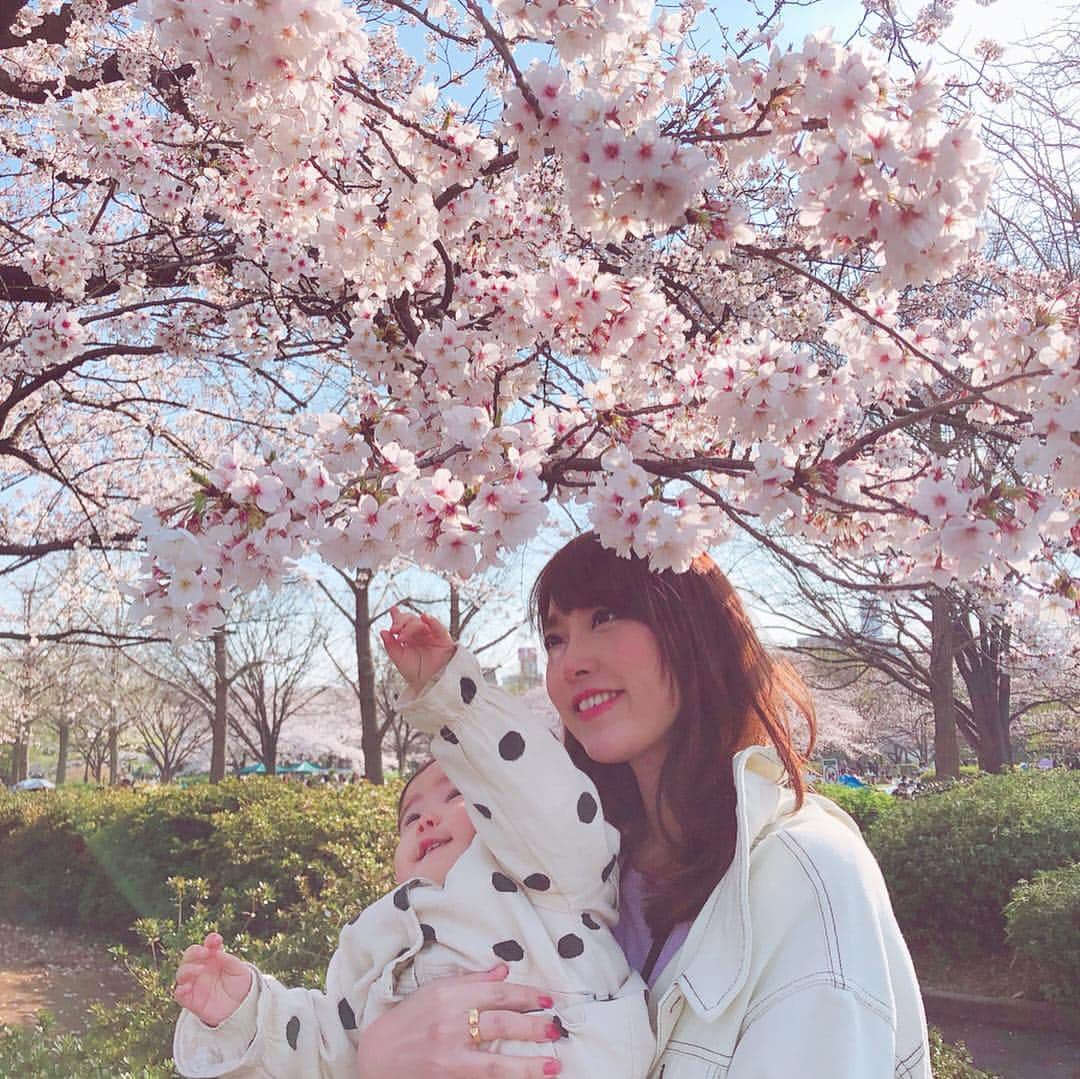 小林まな美のインスタグラム：「やっとお花見出来た🌸 ・ ・ ・ #お花見#さくら#桜#公園#春#赤ちゃんとお花見」