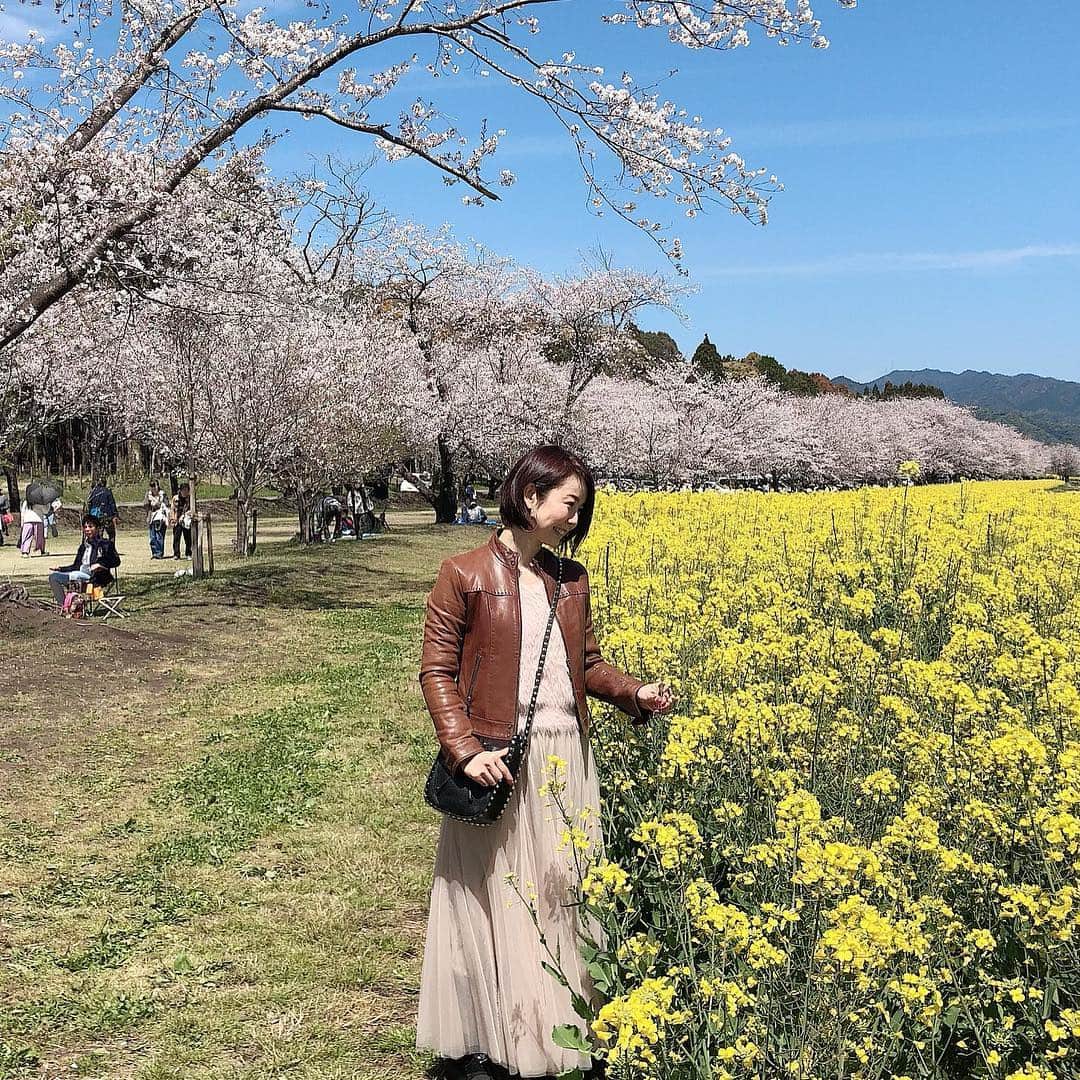 宮崎宣子さんのインスタグラム写真 - (宮崎宣子Instagram)「西都原古墳群に行ってきました🌸 満開の桜と一面の菜の花のコラボレーションが本当に素晴らしくて圧巻です🌸🌸🌸🌼🌼🌼 もう、言葉が出ないくらいの景色で、たくさんの方々が花見にきていました。 西都原古墳群の中にも入れたり、 宮崎の西都にこんな素敵な、ポスターのような景色が見られるなんて😊 是非是非見に来て下さい🌸 歩いているだけで、幸せでした。 桜のトンネルと菜の花と青い空のグラデーションが本当に素晴らしいです🌸🌼 #西都原古墳群 #西都 #宮崎県 #花見 #桜満開 #桜のトンネル #桜 #菜の花 #最高の景色 #人生で一度は行くべき #圧巻 #saito_seeing #saito #miyazaki #絶景 #宮崎の絶景」4月4日 20時51分 - miyazaki_nobuko