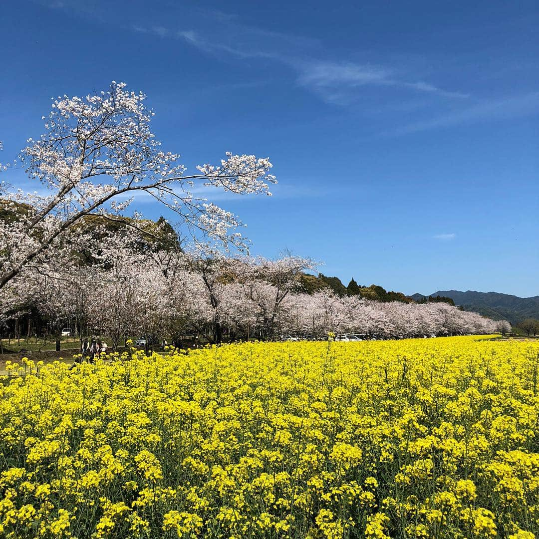 宮崎宣子のインスタグラム