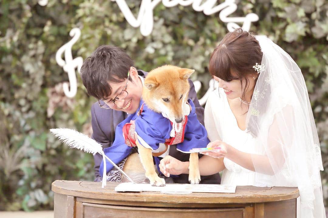 オードヴィーウェディング【名古屋・結婚式場】 のグルメインスタ