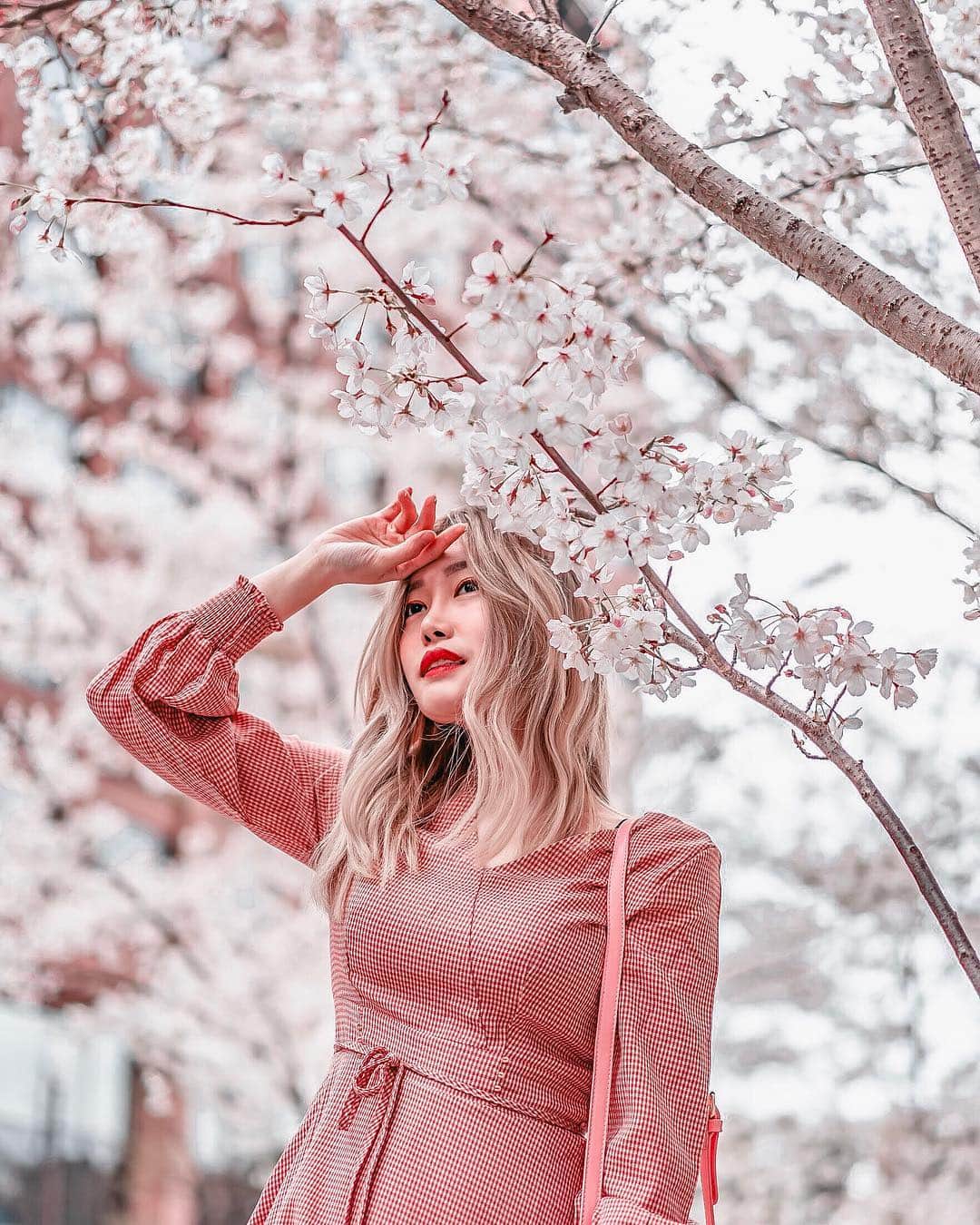 Stella Leeさんのインスタグラム写真 - (Stella LeeInstagram)「Tokyo’s sakura is in full bloom. You dont have to visit touristy places to take picture of the sakura since it’s all over the town. My best bet is to visit office areas that’s full of local, less crowded for sure! . Hair color by @number76_iijima @hair_salon_nalu」4月4日 21時07分 - stellalee92