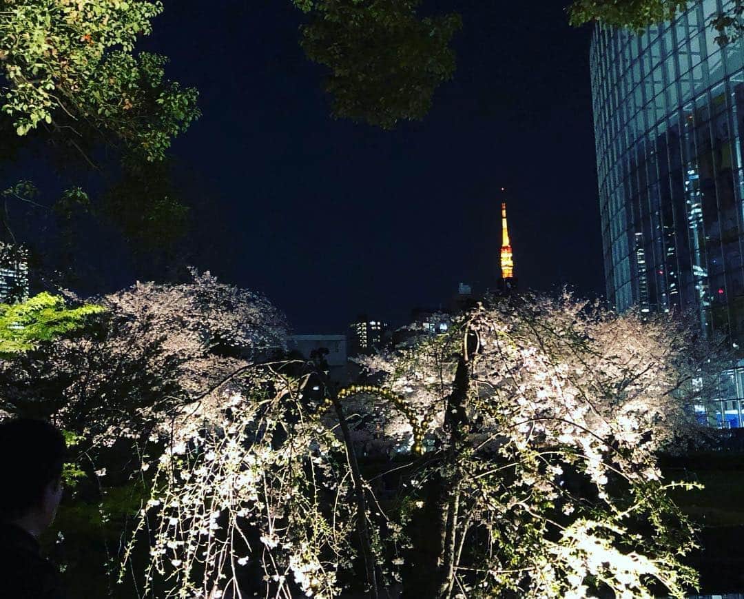 穂川果音さんのインスタグラム写真 - (穂川果音Instagram)「今日も綺麗にライトアップされた桜が🌸 この時期は、海外にいる友達にも、桜の写真を送ると喜ばれます^_^ 桜の花は、たくさんの人に愛されてるなぁ♡♡♡ 今日も、綺麗なお花が見れることに感謝です！！ さて、今日もアベプラ♪ 今週は、平石アナウンサーとお天気ウィークですよーー観てね^_^  #夜桜 #桜 #花見 #毛利庭園 #テレビ朝日 #六本木 #roppongi #tokyo #sakura #hanami #tvasahi #アベプラ #abematv #お天気  #お天気キャスター」4月4日 21時10分 - hokawakanonn