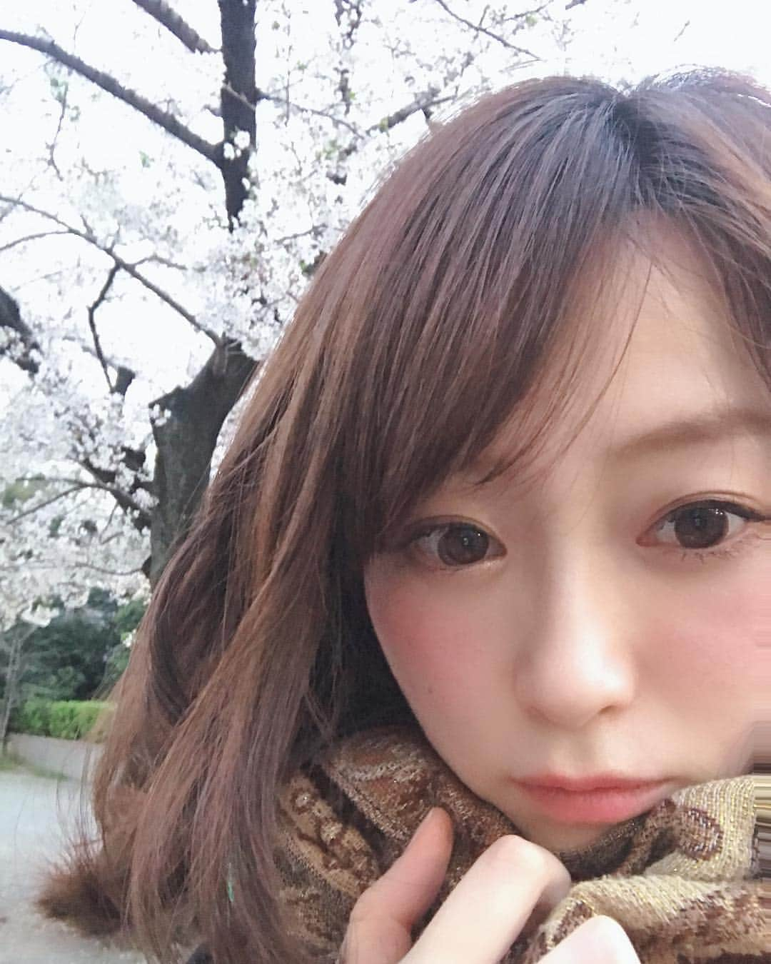 本谷亜紀さんのインスタグラム写真 - (本谷亜紀Instagram)「通勤途中で誰もいない公園にて❗️今年の桜は咲いてない木もあれば、咲き終わった木もあって。お陰でゆっくり長い時間花見を出来るね😆しかし、、寒いね❗️ #お花見」4月4日 21時18分 - akichi0518_ramen