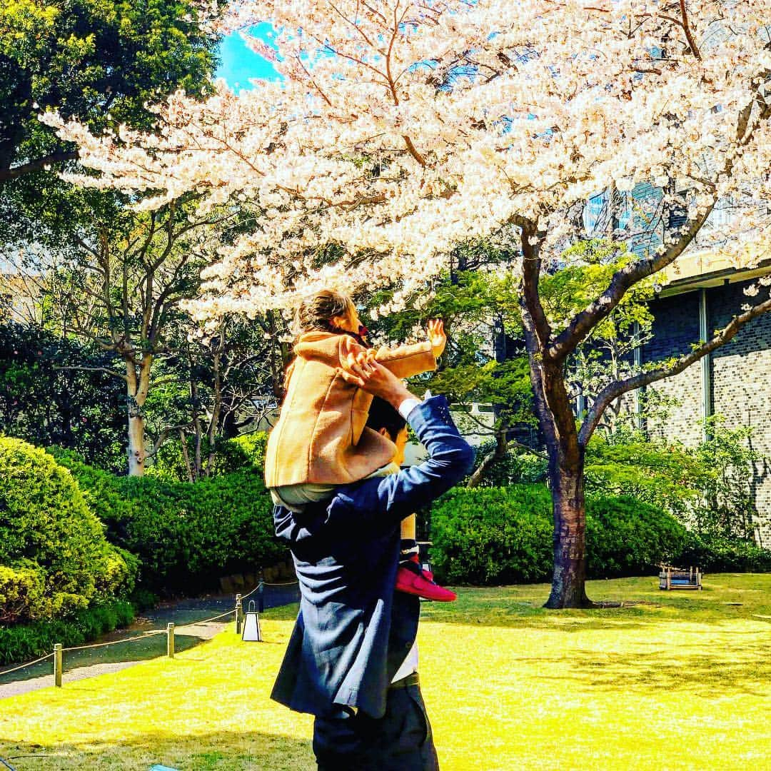 中澤聡太のインスタグラム：「次女の入園式🌸 おめでとう！ #次女 #3歳 #好物はトマトと納豆 #桜には届かなくても #夢には届きますように  なんてね^_^」