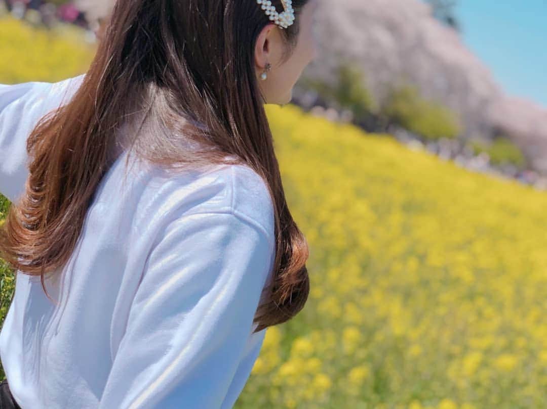 畠山智妃さんのインスタグラム写真 - (畠山智妃Instagram)「幸手桜祭りいってきました🌸  今日もまた吉と😃💕 前を見ても後ろ振り返っても桜🌸桜🌸桜🌸‼️ 菜の花菜の花菜の花😍✨✨✨✨✨✨ すごぉぉぉくきれいで、心洗われた気がしました😌  秋生まれの我が子は、初桜🌸でした😚 こんな素敵な所と知らず… 来年も行きたい最高の場所です❣️ #幸手権現堂桜堤  #吉とは週３で会う」4月4日 21時24分 - chaki_wooper