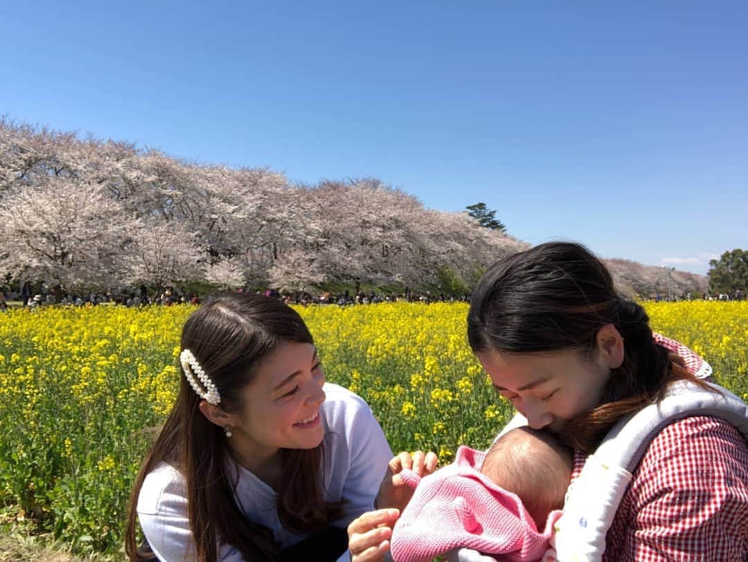 畠山智妃さんのインスタグラム写真 - (畠山智妃Instagram)「幸手桜祭りいってきました🌸  今日もまた吉と😃💕 前を見ても後ろ振り返っても桜🌸桜🌸桜🌸‼️ 菜の花菜の花菜の花😍✨✨✨✨✨✨ すごぉぉぉくきれいで、心洗われた気がしました😌  秋生まれの我が子は、初桜🌸でした😚 こんな素敵な所と知らず… 来年も行きたい最高の場所です❣️ #幸手権現堂桜堤  #吉とは週３で会う」4月4日 21時24分 - chaki_wooper