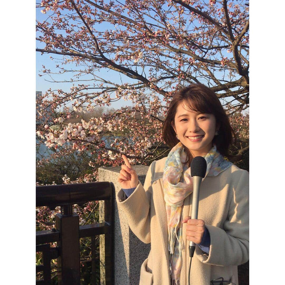 尾島早都樹さんのインスタグラム写真 - (尾島早都樹Instagram)「今年度の初中継🌸 . 桜を見るのも今年初ー！ #県中央植物園 の夜桜ライトアップ 春を感じてきました〜〜！ . 実は、明日も#N6中継 やります！ どこへ行くでしょうか！ お楽しみに〜〜☺️❣️ . #N6 #中継 #夜桜 #チューリップテレビ #桜 #菜の花 #二重奏」4月4日 21時40分 - ojima_satsuki