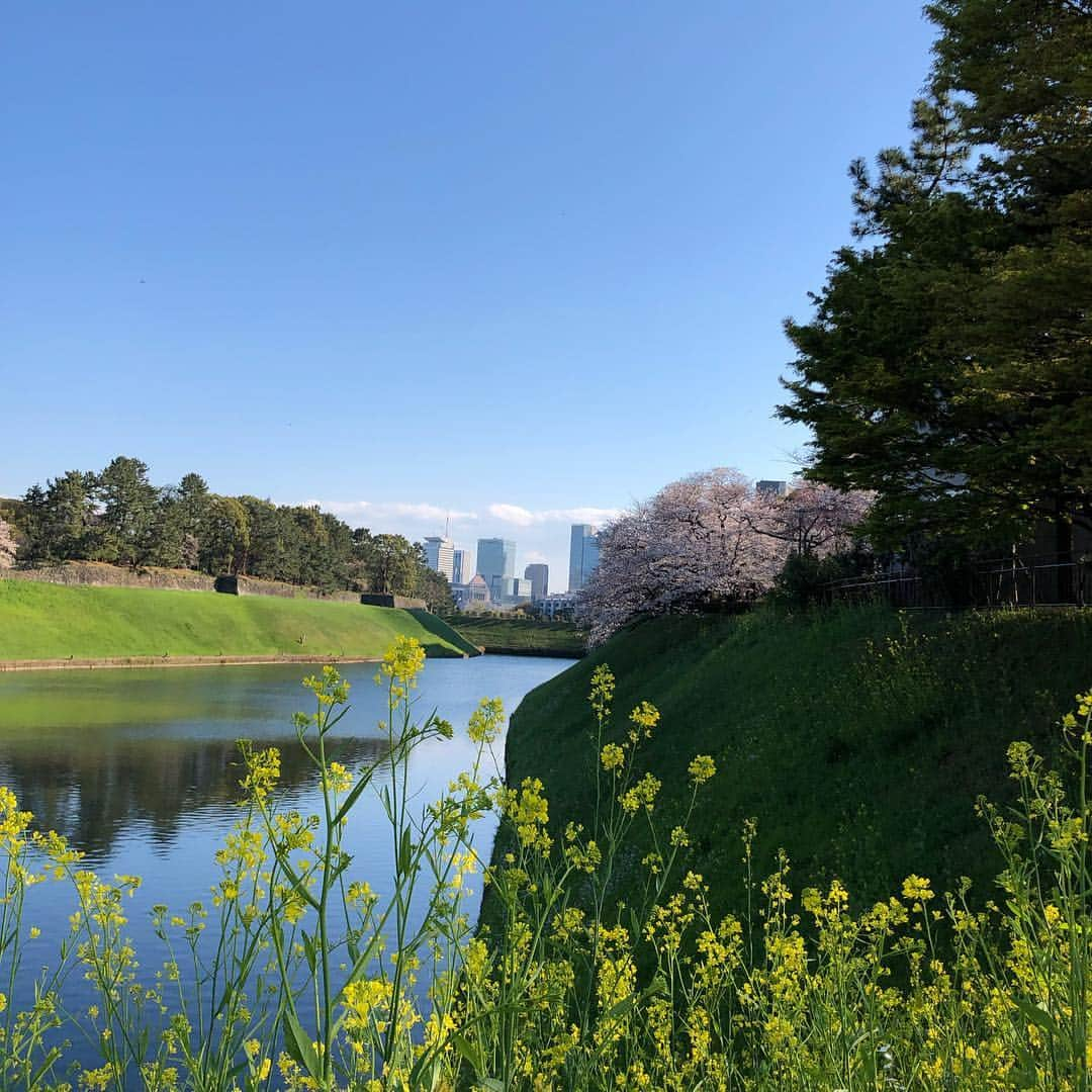 音花ゆりさんのインスタグラム写真 - (音花ゆりInstagram)「. . シンガポールから遊びに来た友達をお花見にご案内🌸 . 絶対に桜が見たい！！とすごい意気込みだったので、タイミングがバッチリで何よりでした👍 今年はお天気が良い日も続いて、長く咲いていてくれて嬉しいです！ . 千鳥ヶ淵(1〜6枚目)からの…目黒川(6枚目)という、桜の名所をハシゴ。笑 どちらも違った美しさで、彼女たちはもちろん、私も感動☺️✨🌸やっぱり桜は良いですね🌸🌸🌸 . 街中にも、道路沿いにも満開の木があって、この時期この木も桜だったのか！！と嬉しい発見が。友達も、日本ってこんなに桜があるんだね！とびっくりしていました☺️ . . #お花見 #千鳥ヶ淵 #目黒川 #満開の桜 #日本人の心」4月4日 21時35分 - otohana.yuri