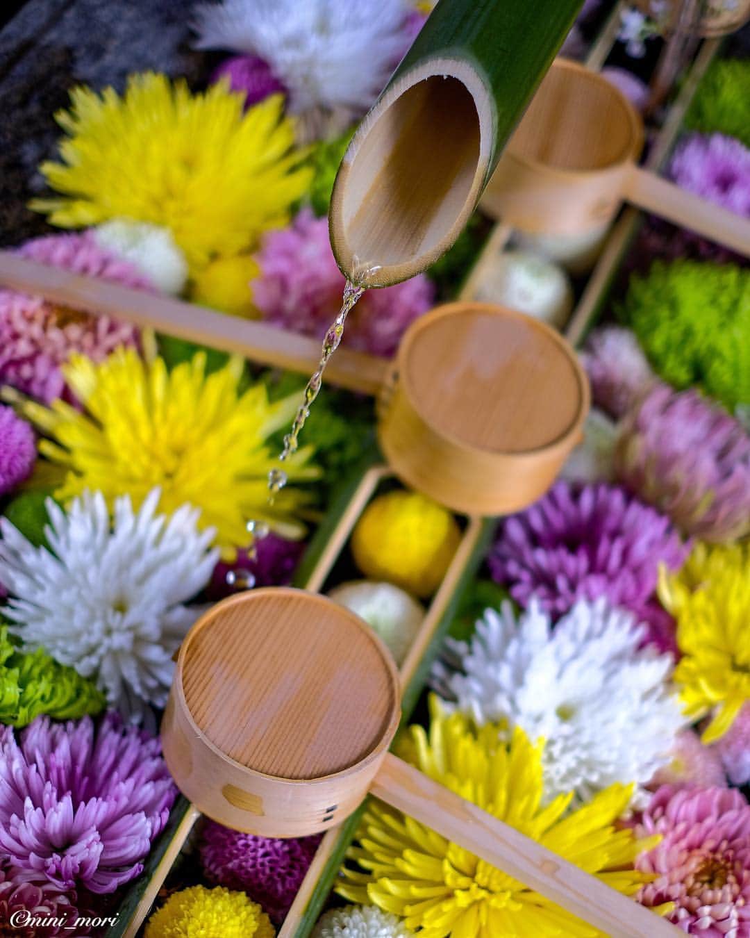 ☀もり、のグルメインスタ