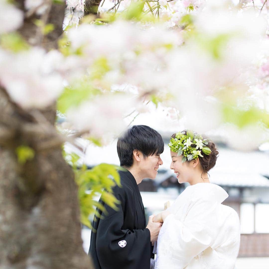 The Sally Garden（ザ サリィガーデン）のグルメインスタ