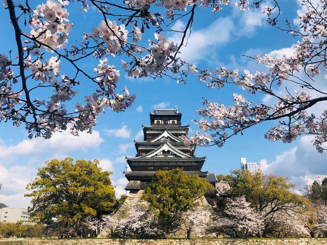 岡田ひとみ（ねんドル）さんのインスタグラム写真 - (岡田ひとみ（ねんドル）Instagram)「個展、そして同時に開催していた全国ねんど教室ツアーが終了しました。 私がデザインしている“越後のかわいいお鏡餅”を購入して応募、当選した北海道から九州までの1,000名様との教室。  ご応募してくださった保護者の方々、会いに来てくれた子どもたち、協力してくれたスタッフ、そして越後製菓各地の営業所の皆様… 笑顔と声援と、たくさんのパワーを私に与えてくださり、心から感謝しています。  最終日は広島市、春風が髪を撫で 満開の桜がまるで待っていたと囁くようで。  力一杯駆け抜けたこの1ヶ月に、新社会人アシスタントたちを涙で送り出し、妹は第二子を生み、新年号を待ち望み、なんだか違う世界が始まるようなうきうきを纏っています。  さあ、新年度。 良いことも、そうでないことも、リセットして新しく、たのしむぞ！  #hiroshima #castle #sakura #cherryblossom #japan #japon #photoshoot #photography」4月4日 21時45分 - hitomi_nendol