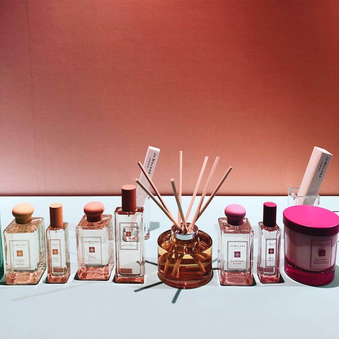 大橋菜央さんのインスタグラム写真 - (大橋菜央Instagram)「Jo Malone London limited edition scents will appear tomorrow🏵 . . . @jomalonelondon から4/5に発売される ブロッサムズ😚🌸🌼 . . Miaとお邪魔したレセプションは 春らしい爽やかで甘い香りと 生花いっぱいのデコレーションが素敵だった😻❣️ ▶︎▶︎▶︎🧒🏻 . . . . #jomalone #jomalonelondon #blossoms #cologne #frangipani #asianflowers #springflowers #perfume #ジョーマローン #ブロッサムズ #フランジパニ #コロン #春の香り #naoliving_cosme #miababyliving #pr」4月4日 21時57分 - naoliving