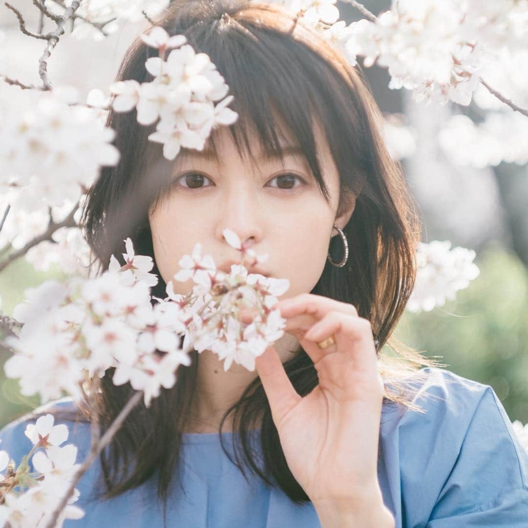 のインスタグラム：「. 皆に喜ばれている間に 散っていく桜は かしこいね 🌸 #桜 #桜満開 #さくら #春 #spring #springfashion #cherryblossom #japan #japanese #season #photo #사진 #봄 #일본여행 #일본」