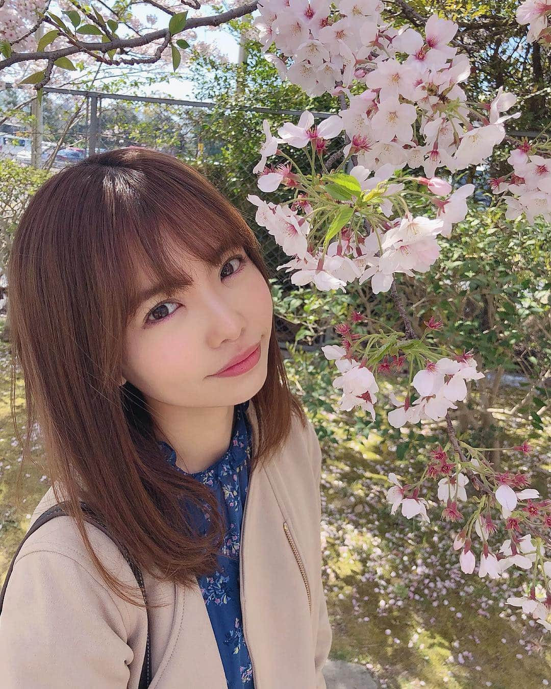 渕上舞さんのインスタグラム写真 - (渕上舞Instagram)「#出会いの春 ☺️🌸 今年も色んな出会いがありますように☺︎ . . 皆さんの今年度の目標は…？？ . #春 #新年度 #桜 #平成最後の桜 #お花見 #満開 #あとどれぐらい咲いててくれるかな」4月4日 21時59分 - mai_fuchigami_48