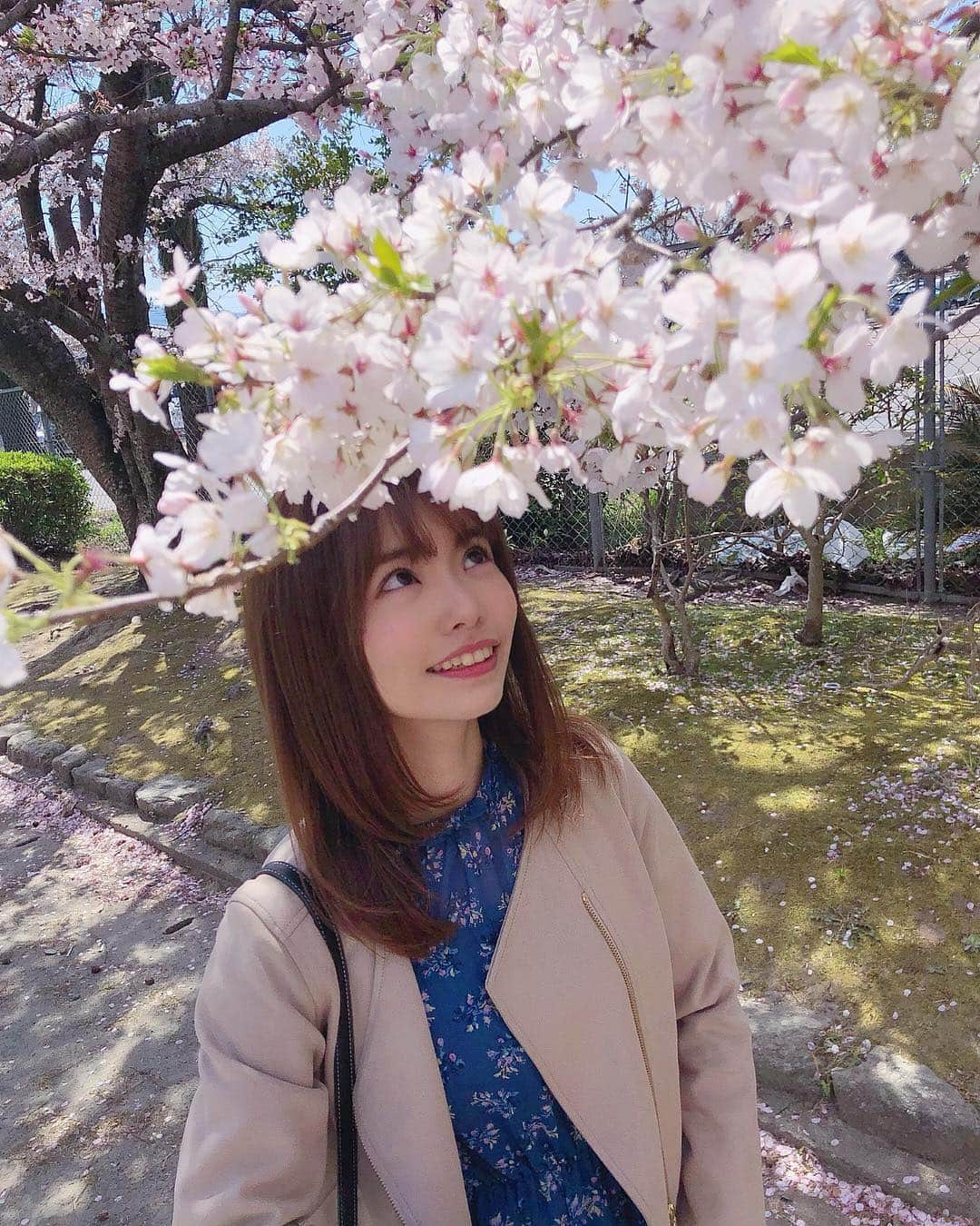 渕上舞さんのインスタグラム写真 - (渕上舞Instagram)「#出会いの春 ☺️🌸 今年も色んな出会いがありますように☺︎ . . 皆さんの今年度の目標は…？？ . #春 #新年度 #桜 #平成最後の桜 #お花見 #満開 #あとどれぐらい咲いててくれるかな」4月4日 21時59分 - mai_fuchigami_48