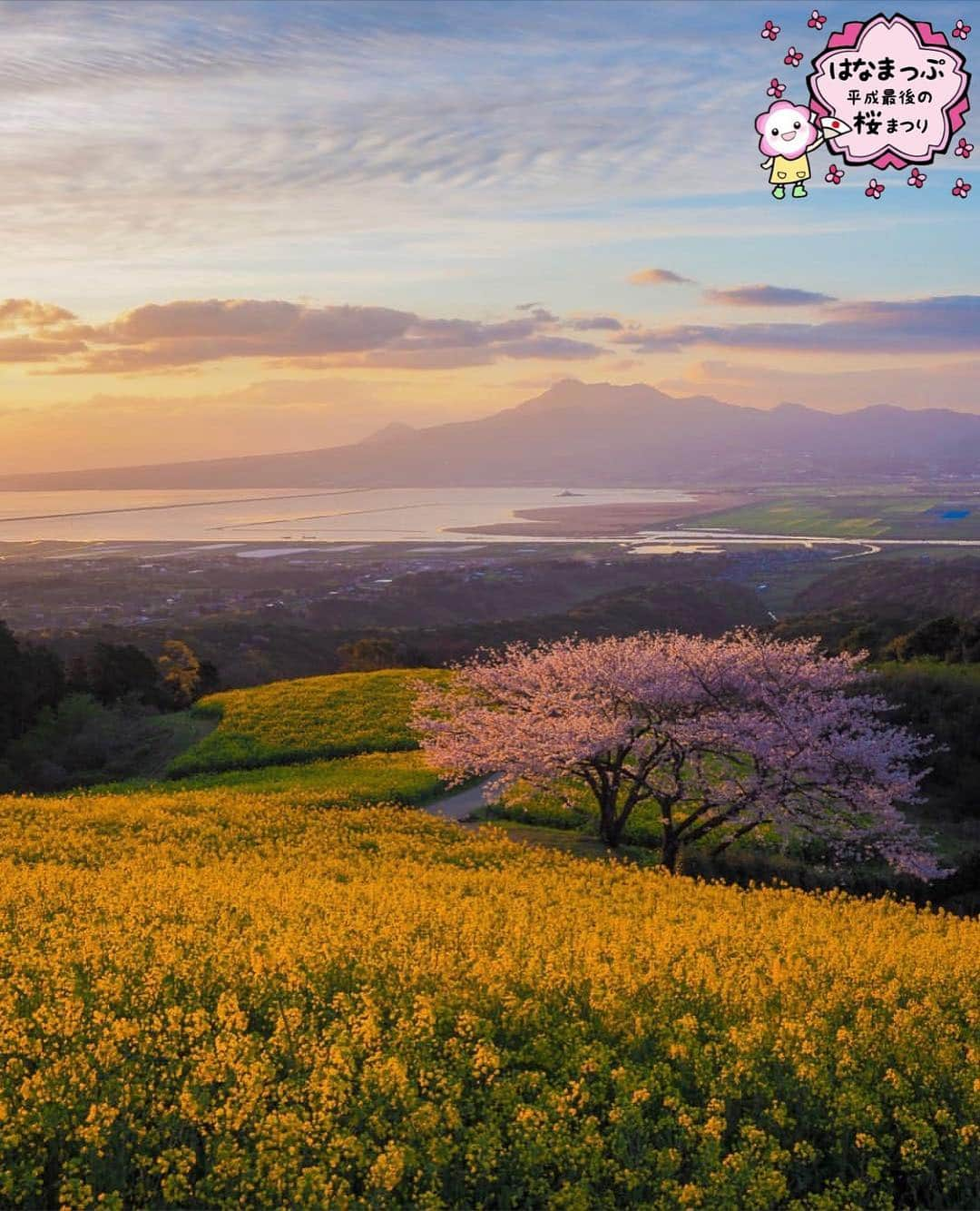 はなまっぷ❁日本の花風景さんのインスタグラム写真 - (はなまっぷ❁日本の花風景Instagram)「🍃🌸はなまっぷ平成最後の桜まつり🌸🍃 * @momota.t さんの 平成の桜に花まるを💮 * 平成を彩る日本の美しい桜をありがとうございます😊🌸🍃 * 長崎  #白木峰高原 Isahaya, Nagasaki Pref. * 見頃を過ぎている場所もご紹介しています。 お出かけの際はHP等で最新の情報をご確認くださいね🙏🌸🍃 * 🌸•••🍃•••🌸•••🍃•••🌸•••🍃•••🌸 * 🌸桜まつり概要🌸 * 期間:平成最後の日まで タグ:#はなまっぷ * #はなまっぷ  のタグの中から、桜のお写真をどんどんご紹介させていただきます。期間中はランダムに、複数枚投稿でもご紹介させていただく場合がございます。 * #桜#sakura#花見#さくら#日本#春#花#平成最後の#満開#菜の花#風景 * 🌸•••🍃•••🌸•••🍃•••🌸•••🍃•••🌸 * はなまっぷより * 💌LINEスタンプ「はなまっぷちゃん」絶賛発売中！みなさんのLINEにも花まるを💮 💌はなまっぷ本、Amazonや全国の書店さんで満開です！ぜひお手にとっていただけると嬉しいです🌸 * LINEスタンプ、はなまっぷ本は、プロフ欄記載のTwitterアカウントよりご確認ください。 * 🌸•••🍃•••🌸•••🍃•••🌸•••🍃•••🌸 *」4月4日 22時15分 - hanamap