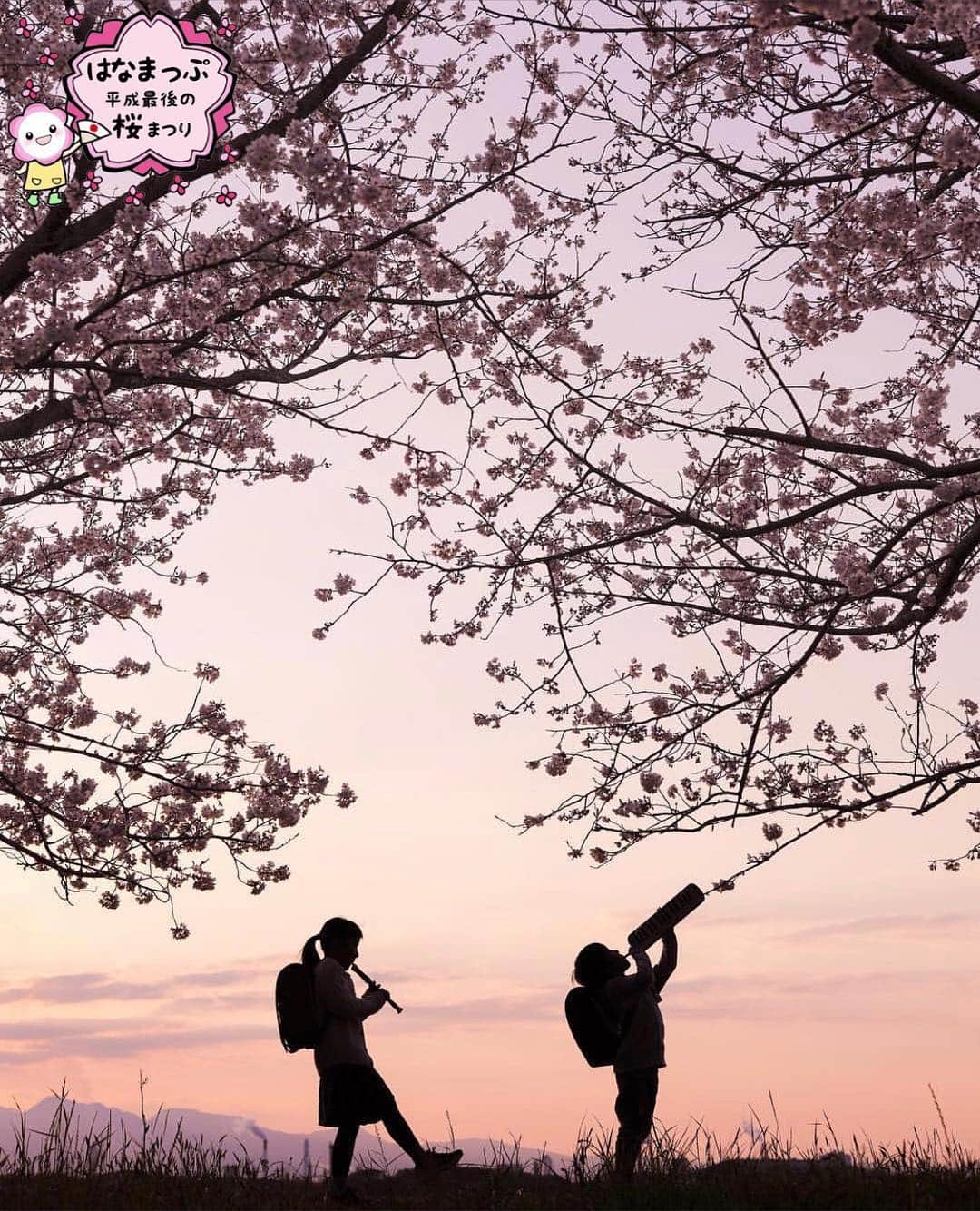 はなまっぷ❁日本の花風景さんのインスタグラム写真 - (はなまっぷ❁日本の花風景Instagram)「🍃🌸はなまっぷ平成最後の桜まつり🌸🍃 * @eriinocci さんの 平成の桜に花まるを💮 * 平成を彩る日本の美しい桜をありがとうございます😊🌸🍃 * 大分  #大野川河川敷 Oita Pref. * 見頃を過ぎている場所もご紹介しています。 お出かけの際はHP等で最新の情報をご確認くださいね🙏🌸🍃 * 🌸•••🍃•••🌸•••🍃•••🌸•••🍃•••🌸 * 🌸桜まつり概要🌸 * 期間:平成最後の日まで タグ:#はなまっぷ * #はなまっぷ  のタグの中から、桜のお写真をどんどんご紹介させていただきます。期間中はランダムに、複数枚投稿でもご紹介させていただく場合がございます。 * #桜#sakura#花見#さくら#日本#春#花#平成最後の#満開 * 🌸•••🍃•••🌸•••🍃•••🌸•••🍃•••🌸 * はなまっぷより * 💌LINEスタンプ「はなまっぷちゃん」絶賛発売中！みなさんのLINEにも花まるを💮 💌はなまっぷ本、Amazonや全国の書店さんで満開です！ぜひお手にとっていただけると嬉しいです🌸 * LINEスタンプ、はなまっぷ本は、プロフ欄記載のTwitterアカウントよりご確認ください。 * 🌸•••🍃•••🌸•••🍃•••🌸•••🍃•••🌸 *」4月4日 22時09分 - hanamap
