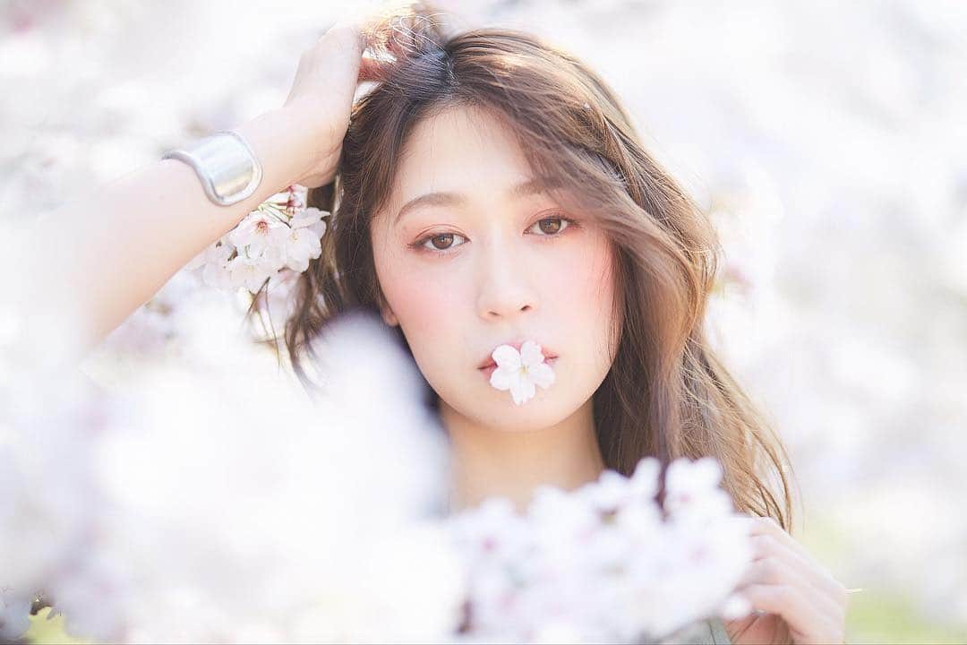 豊森ちはやのインスタグラム：「﻿﻿ ﻿ ﻿ 🌸 🌸 🌸﻿ ﻿ ﻿ ﻿photo by  @noriyukiishikawa_photo 𓂃﻿ ﻿ ﻿」