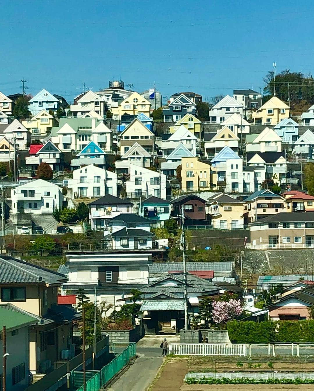 林家あずみさんのインスタグラム写真 - (林家あずみInstagram)「名古屋に移動中に綺麗に富士山見えました😆✨そして何だか好きな家の集まりも撮影に成功😆✨ 大須演芸場の二回公演の合間に、菊生師匠にコンパルのエビフライサンドをご馳走になりました😆✨もう、大好きなんです😆❤️絶対に大須演芸場に来たら食べます😃✌️夜は文之助師匠に皆でご馳走になり楽しく1日目終了😊✨観に来て下さいました方からいただいた美味しい生チョコをホテルの部屋で食べてます😚❤️1日中食べてますね🤩💦💦明日は何食べようかウキウキしています😃❤️って、食べることばっか🤩💦 #大須演芸場 #桂文之助師匠 #古今亭菊生師匠 #コンパル #林家あずみ」4月4日 22時21分 - kurohime424