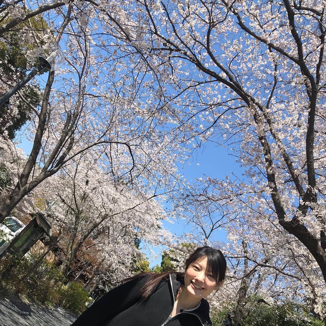 森貴美子さんのインスタグラム写真 - (森貴美子Instagram)「桜みたい病の気持ちが落ち着かない。🌸🌸🌸 #松陰神社 #桜 #벛꽃  #일본모델」4月4日 22時24分 - morikimi_morikimi