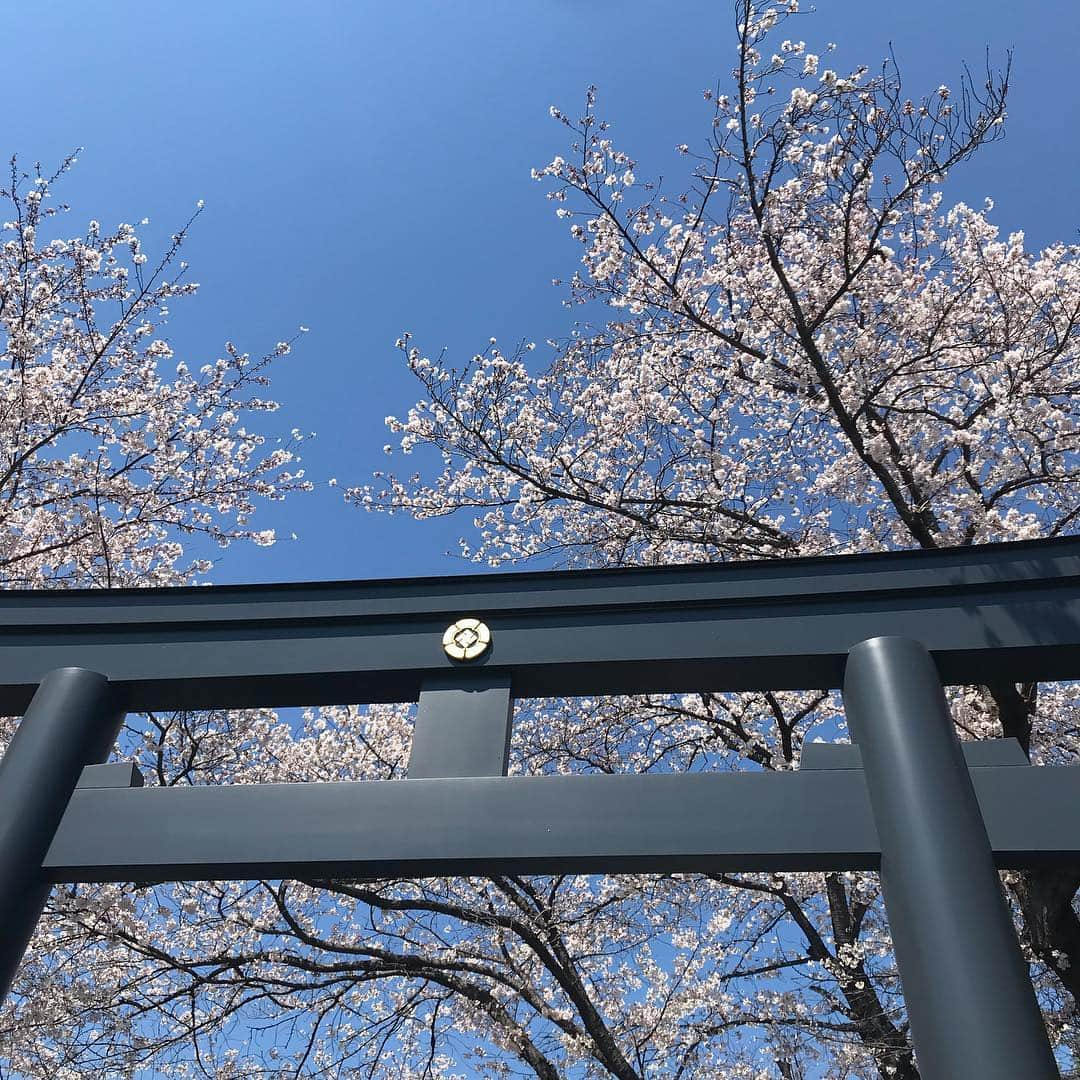 森貴美子さんのインスタグラム写真 - (森貴美子Instagram)「桜みたい病の気持ちが落ち着かない。🌸🌸🌸 #松陰神社 #桜 #벛꽃  #일본모델」4月4日 22時24分 - morikimi_morikimi