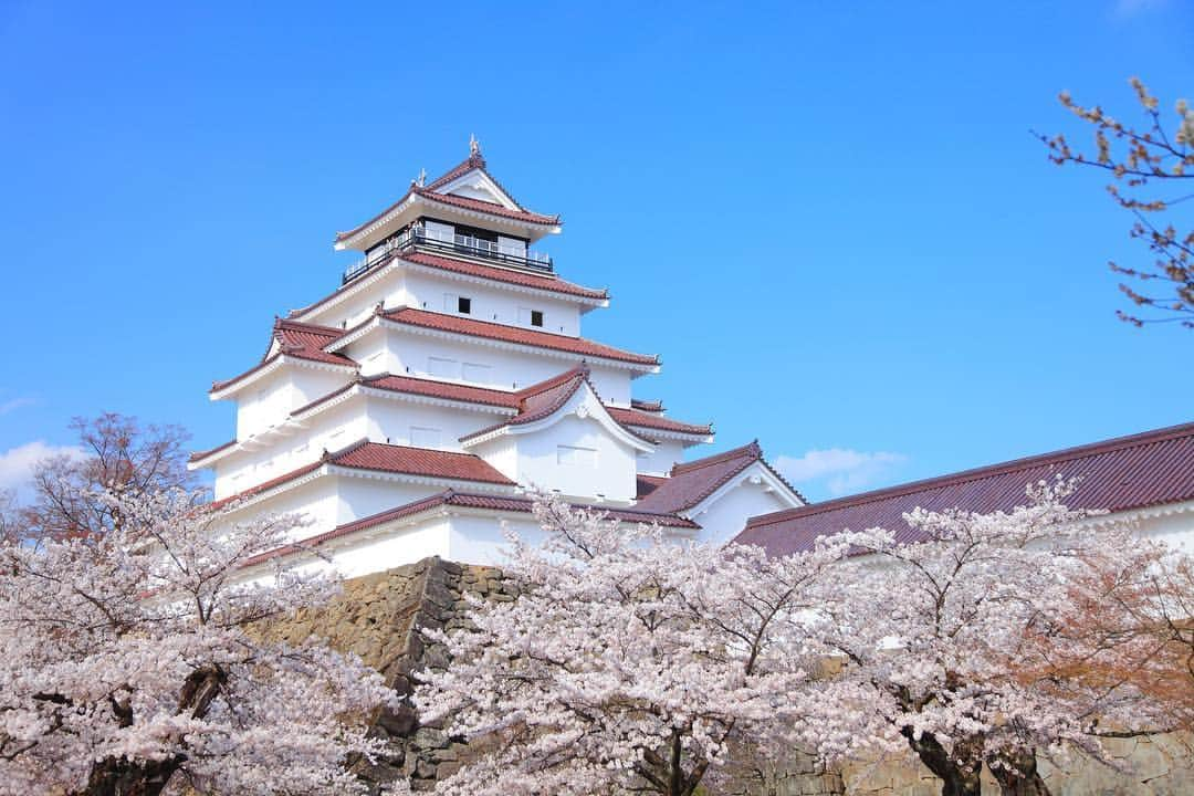 THE GATEさんのインスタグラム写真 - (THE GATEInstagram)「【Follow us! @thegate_japan】 THE GATE is a website for all journeys in Japan. Follow @thegate_japan for japan travel inspiration! . Tsuruga Castle(#鶴ヶ城) locates in #Aizuwakamatsu City(#会津若松) of Fukushima prefecture. It is also referred to as the (#Aizu) #WakamatsuCastle(#会津若松城) due to its location🌸🌸🏯 . There is a museum built on the castle grounds where you can learn about the feudal history of the #AizuRegion(#会津). From the top of the castle tower is a beautiful view of the entire castle town. . The area around the castle is now a park with over 1,000 cherry blossom trees. Every mid-April, you can see the cherry blossom flowers on these trees bloom🌸✨ Nearby, you can find restaurants and souvenir shops. . . . . Check more information about Japan. →@thegate_japan . #Japan  #thegate_japan #travel #exploring #thegate #thegate_spring #visitjapan #sightseeing #ilovejapan #triptojapan #beautifulflowers #flowers #gardens #nature #beautifulnature #spring #springseason #cherryblossom #cherryblossoms #plumblossom #plumblossoms #tsurugacastle」4月4日 22時33分 - thegate_travel