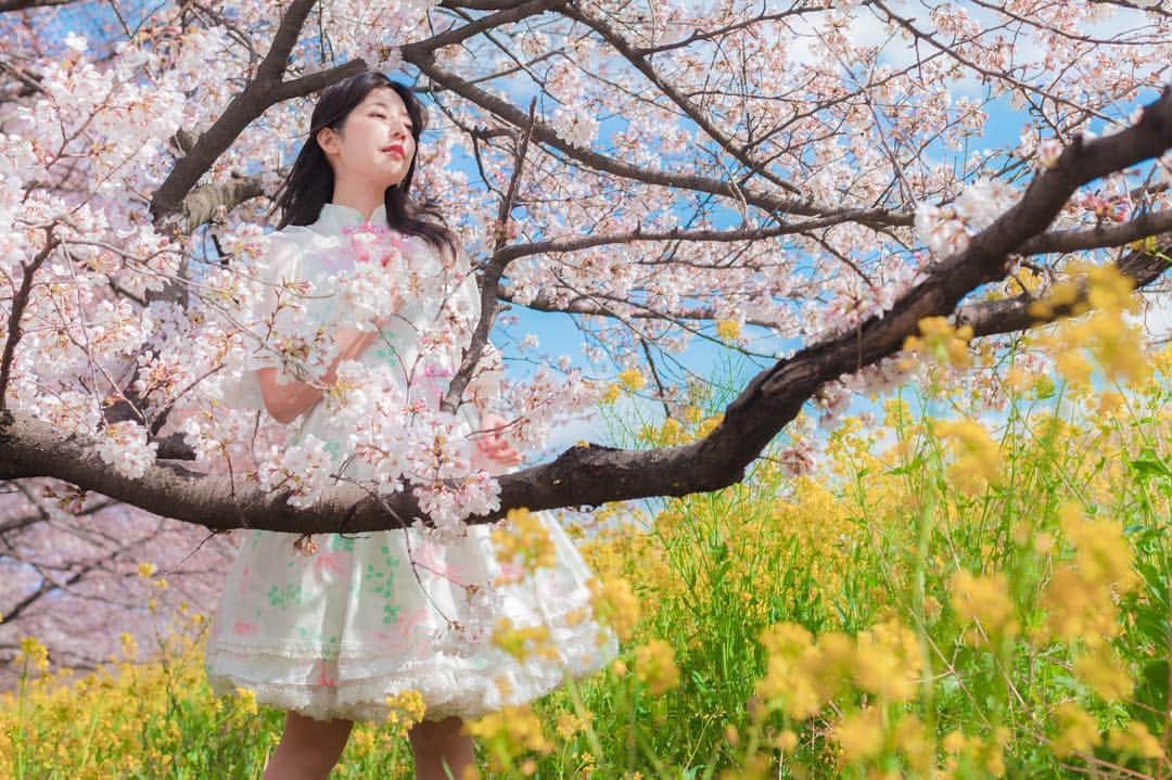渚のインスタグラム：「熊谷桜堤に行ってきました！  #花見 #cherryblossom #桜 #portrait #ポートレート #instagood #model #lolita #kumagaya #熊谷桜堤 #instafashion」