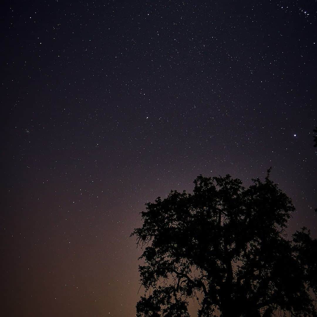 ルフトハンザさんのインスタグラム写真 - (ルフトハンザInstagram)「Gazing up at the starry sky let’s us forget the strains of the day as we’re surrounded by nothing but nature. #FindYourAdventure #Lufthansa #Texas #FlyToAustin」4月4日 22時30分 - lufthansa