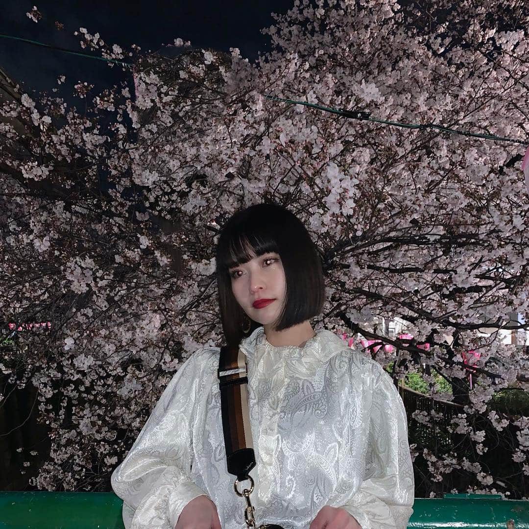 横田ひかるさんのインスタグラム写真 - (横田ひかるInstagram)「夜でも桜は綺麗で、満開🌸」4月4日 22時31分 - _rncn950805
