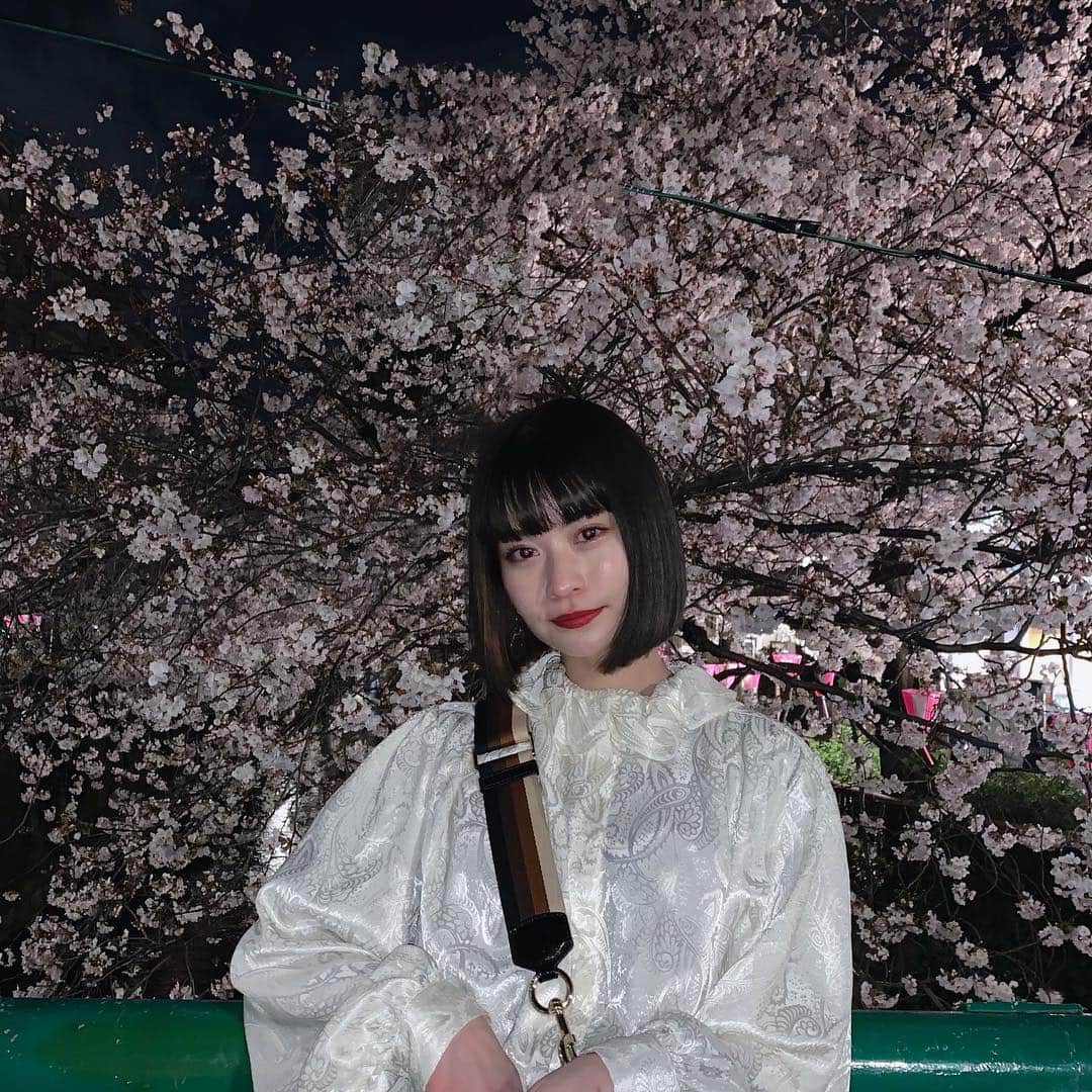 横田ひかるさんのインスタグラム写真 - (横田ひかるInstagram)「夜でも桜は綺麗で、満開🌸」4月4日 22時31分 - _rncn950805