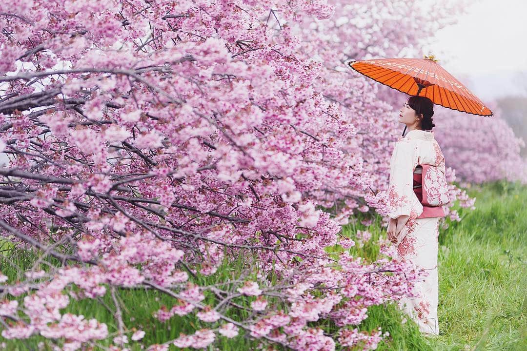 Najiiのインスタグラム：「Bloom」